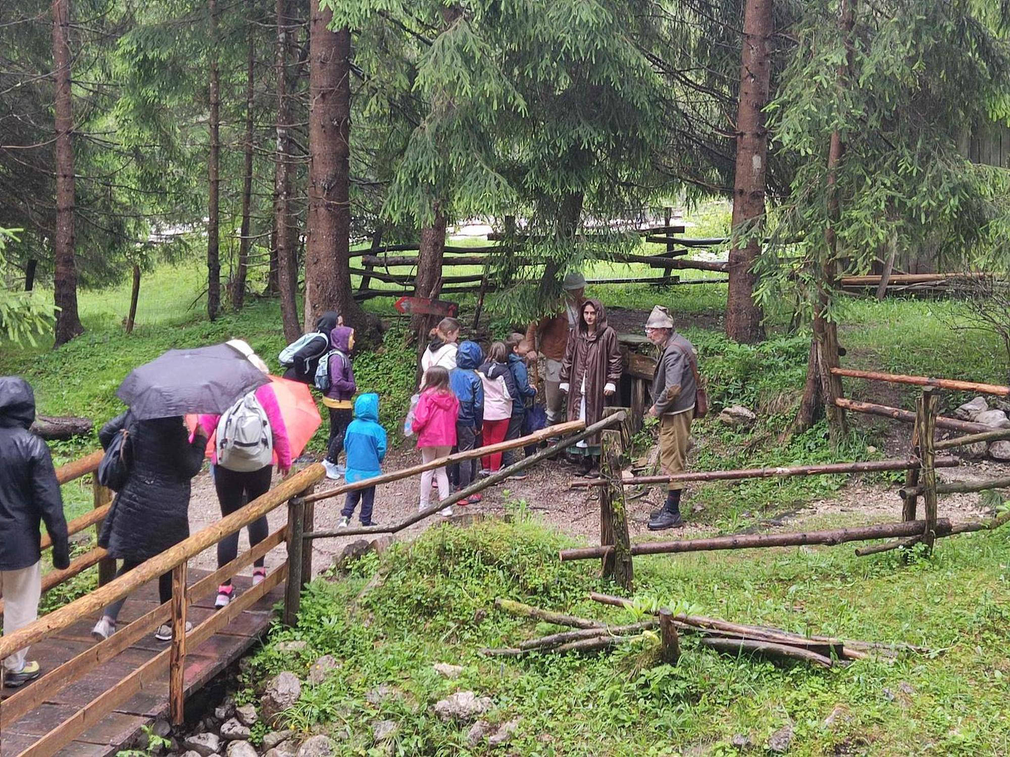 Otroci se z dežniki sprehajajo po gozdnih poteh