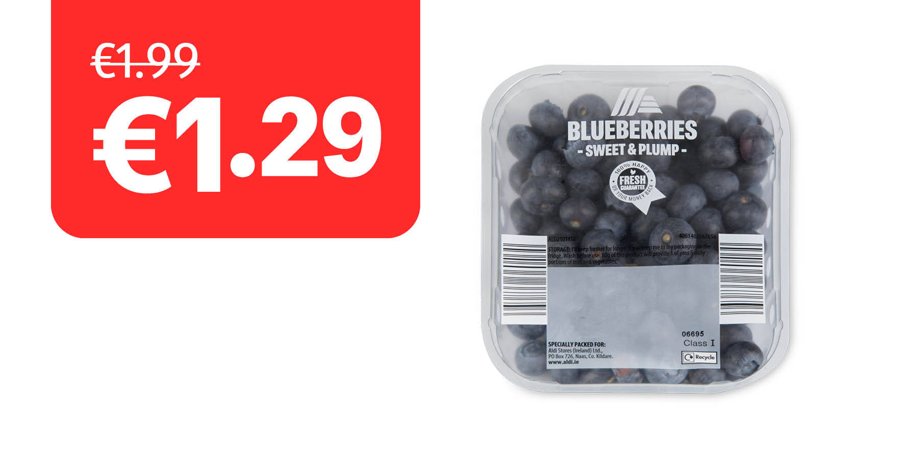 An image of Large Oranges