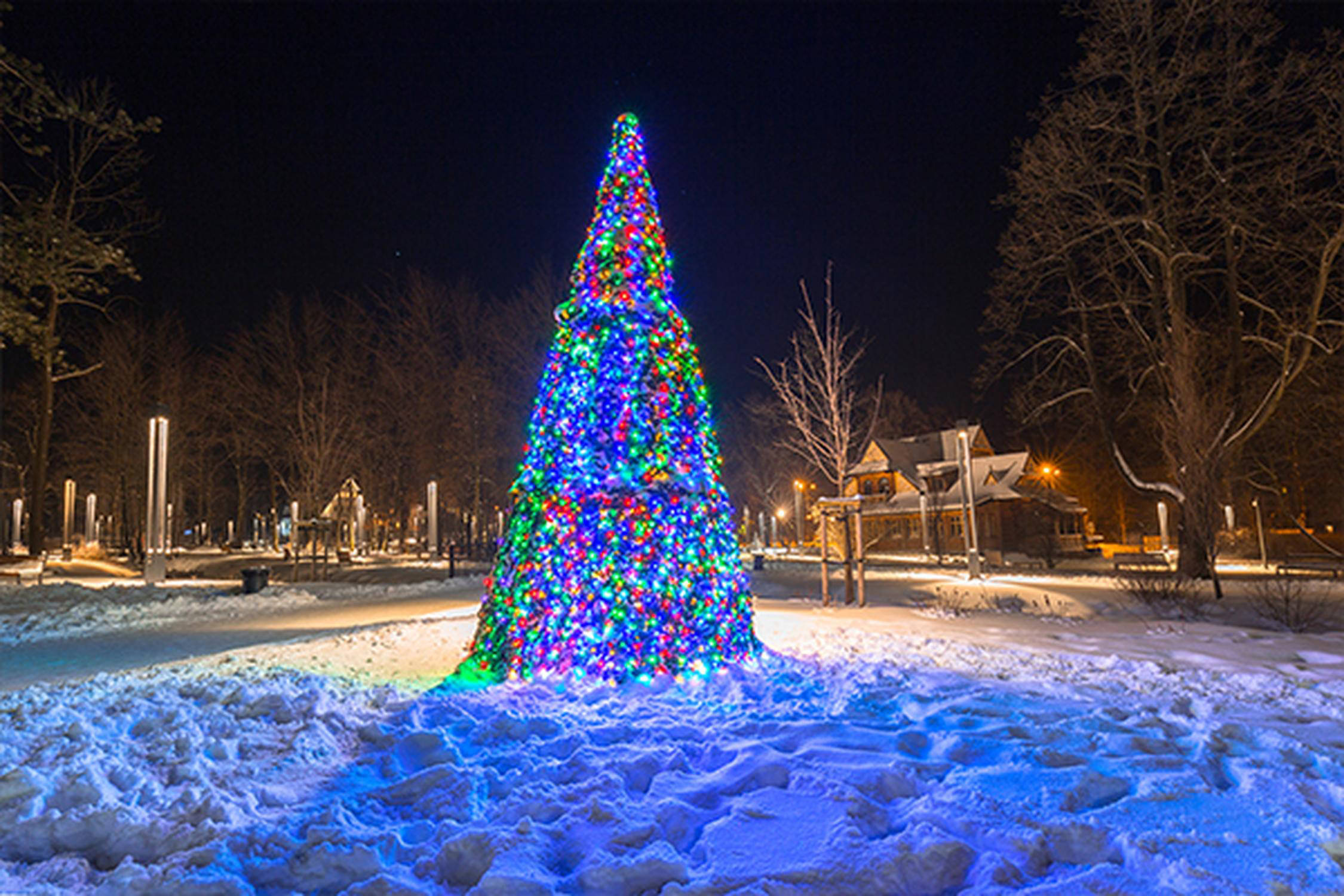 Christbaum mit bunter Beleuchtung steht draußen in einer schneebedeckten Wiese im Dunklen