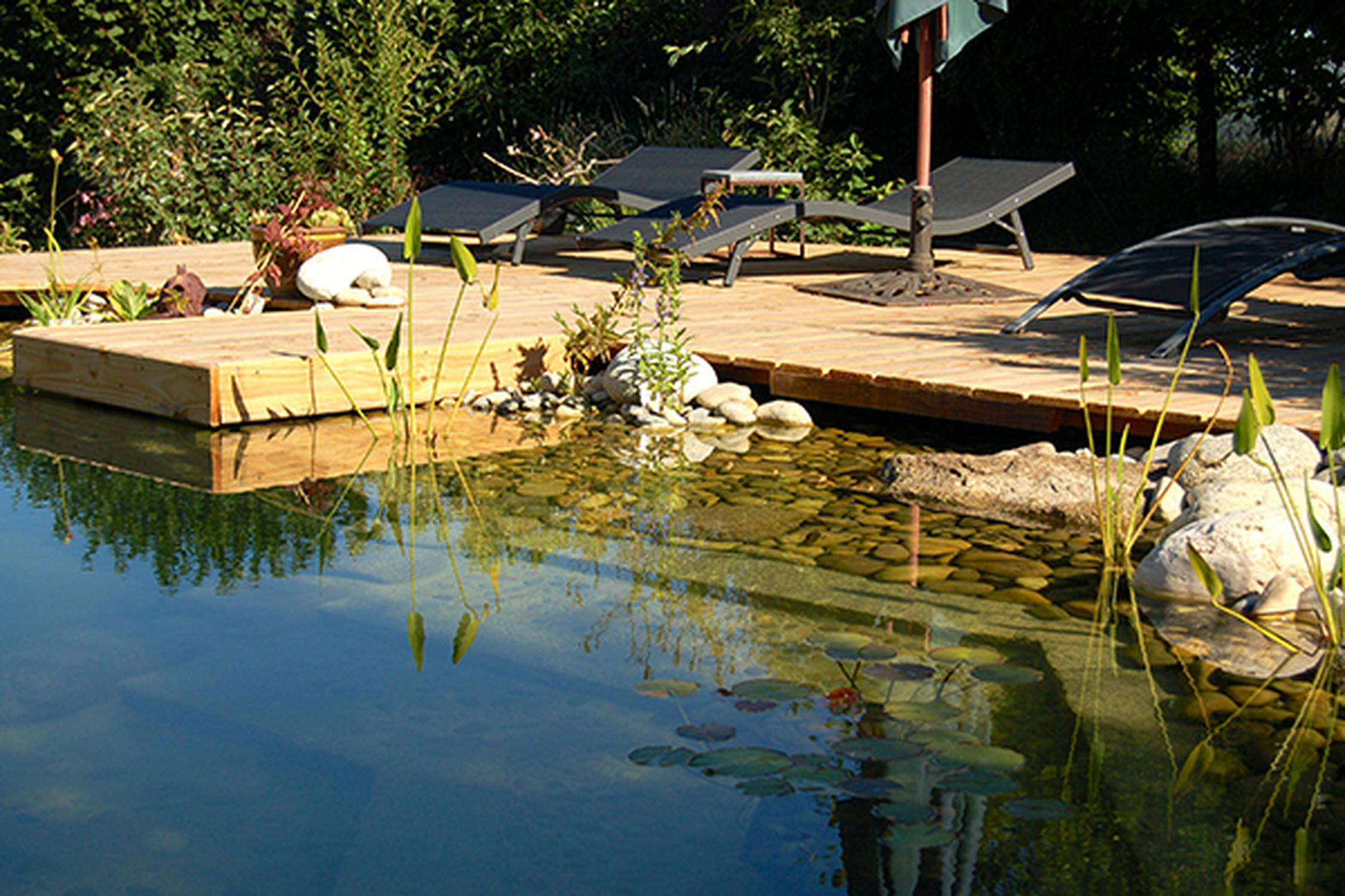 Schwimmteich mit einem Holzsteg und drei Liegen und einem Sonnenschirm