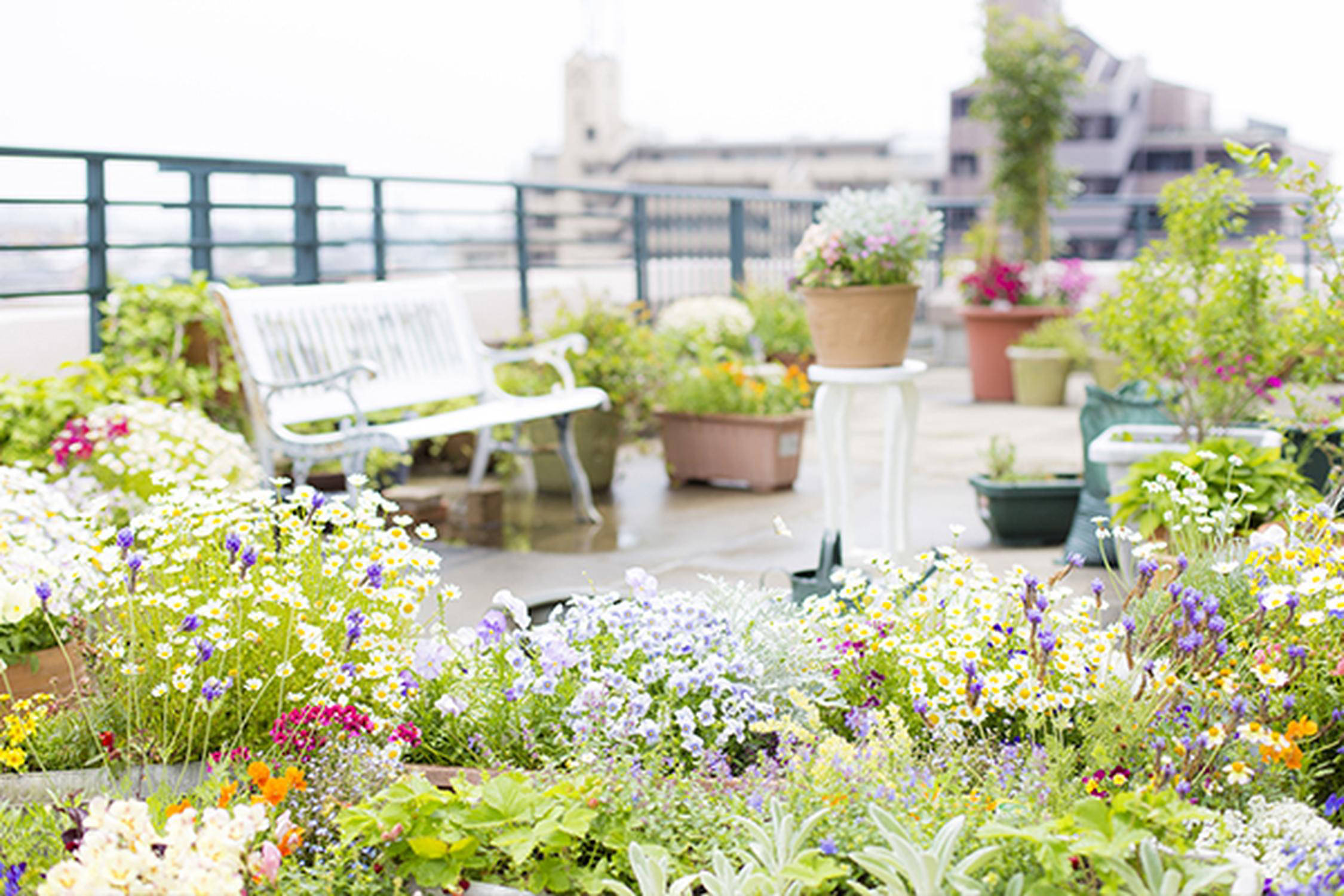 Terrasse mit vielen verschiedenen Topfpflanzen