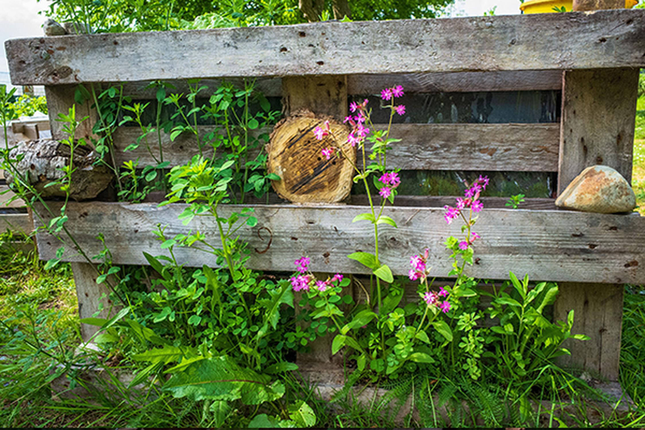Upcycling Garten