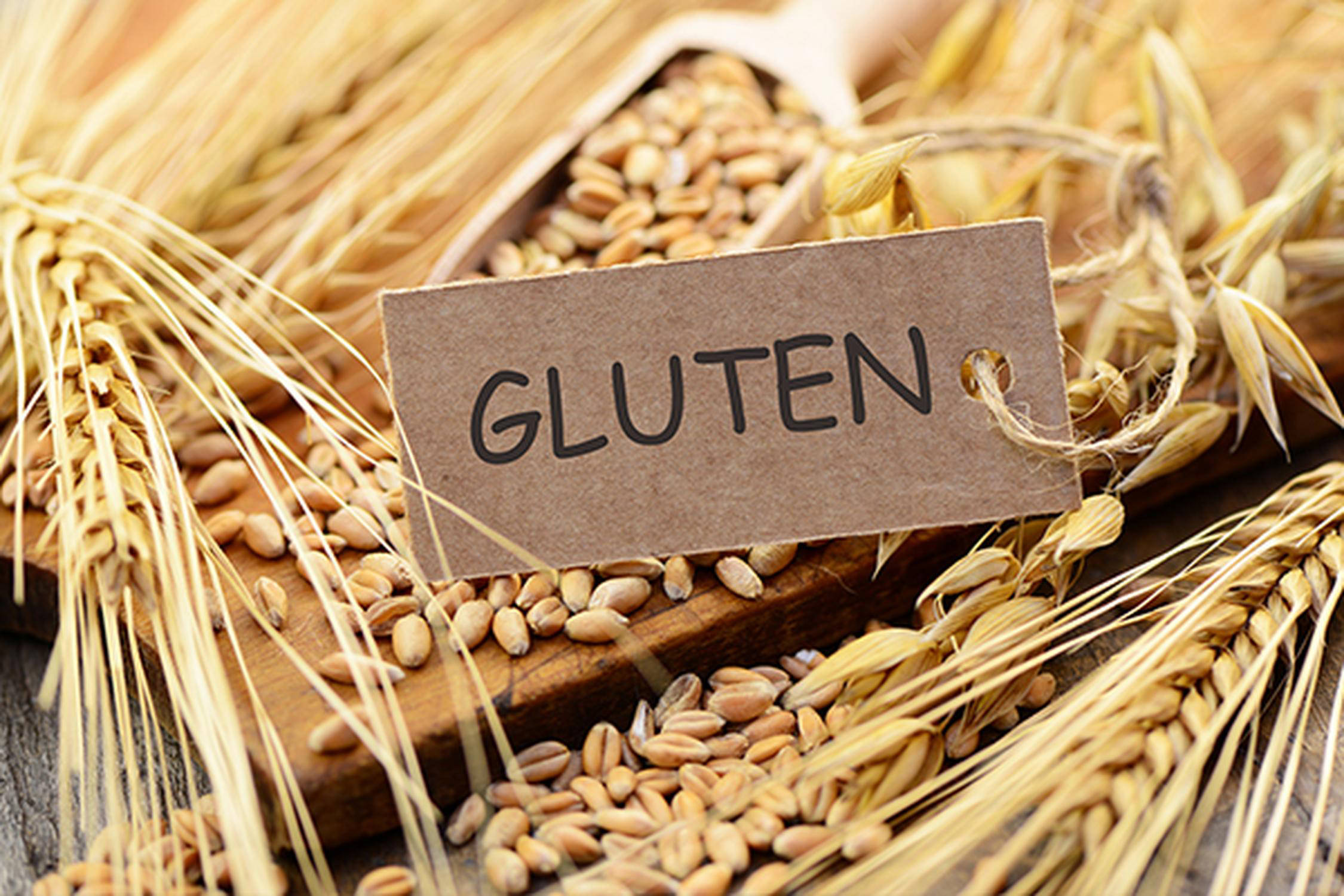 Getreide mit einem kleinen braunen Zettel "Gluten"