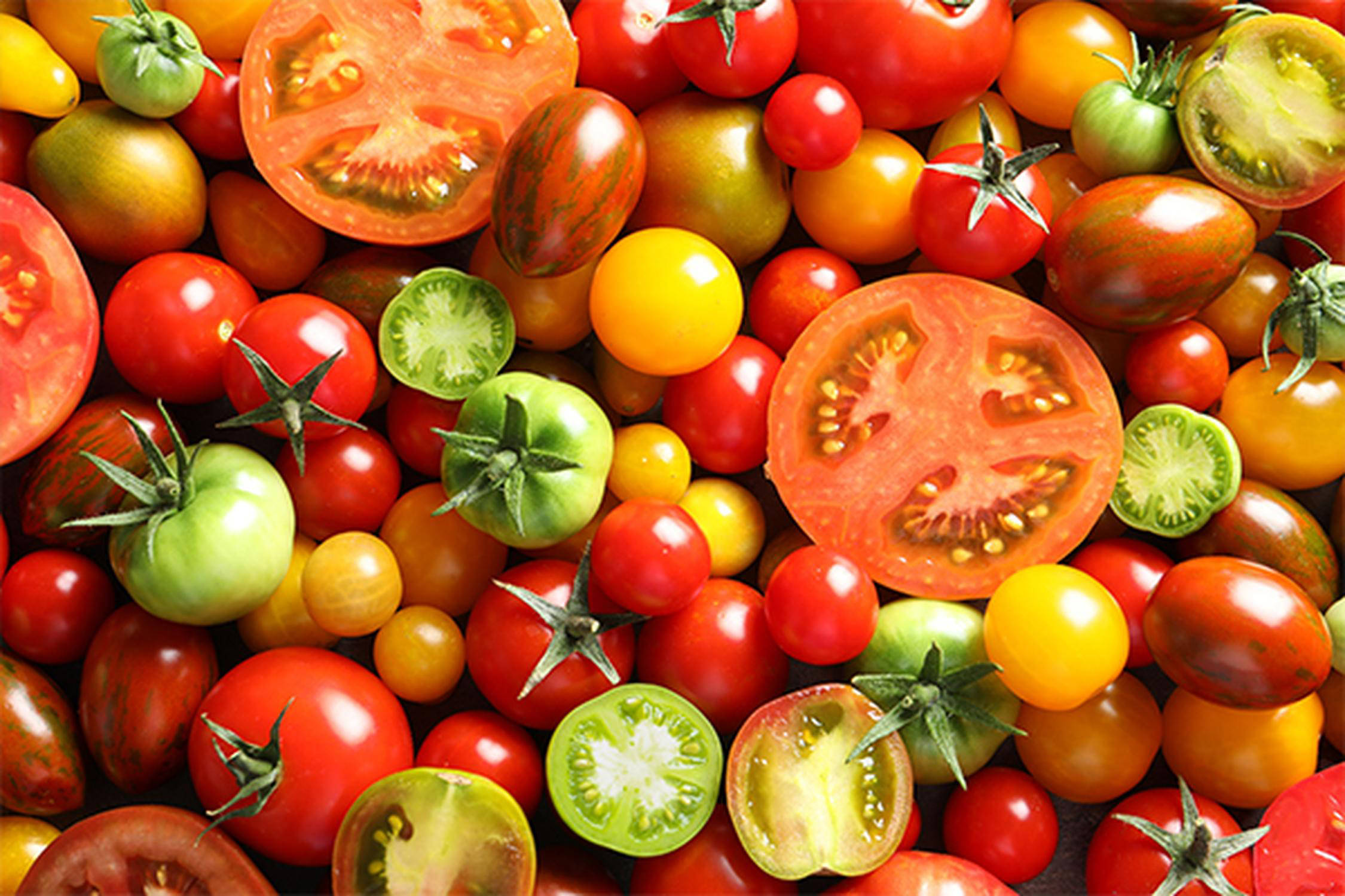 viele rote, grüne und orange Tomaten