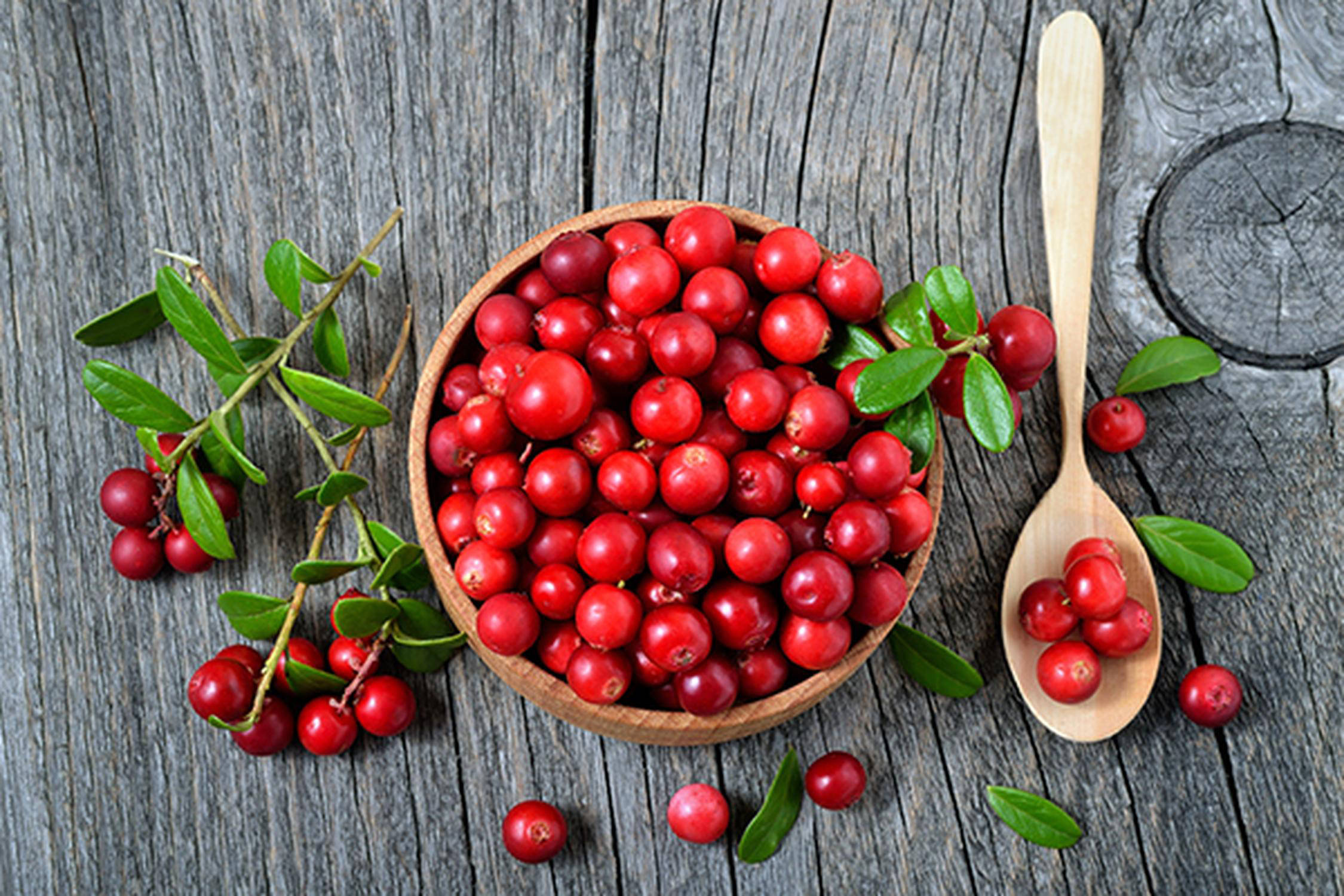 Cranberries auf einem Holzlöffel und in einer Schüssel auf einem Holztisch