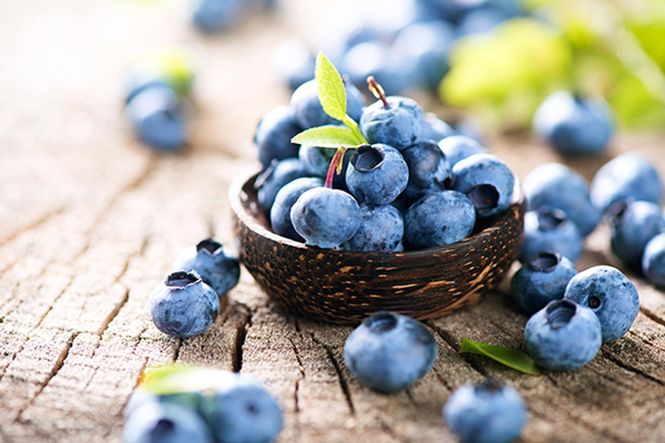 Heidelbeeren in einer kleinen Schüssel und nebenbei auf einem Holzuntergrund liegend