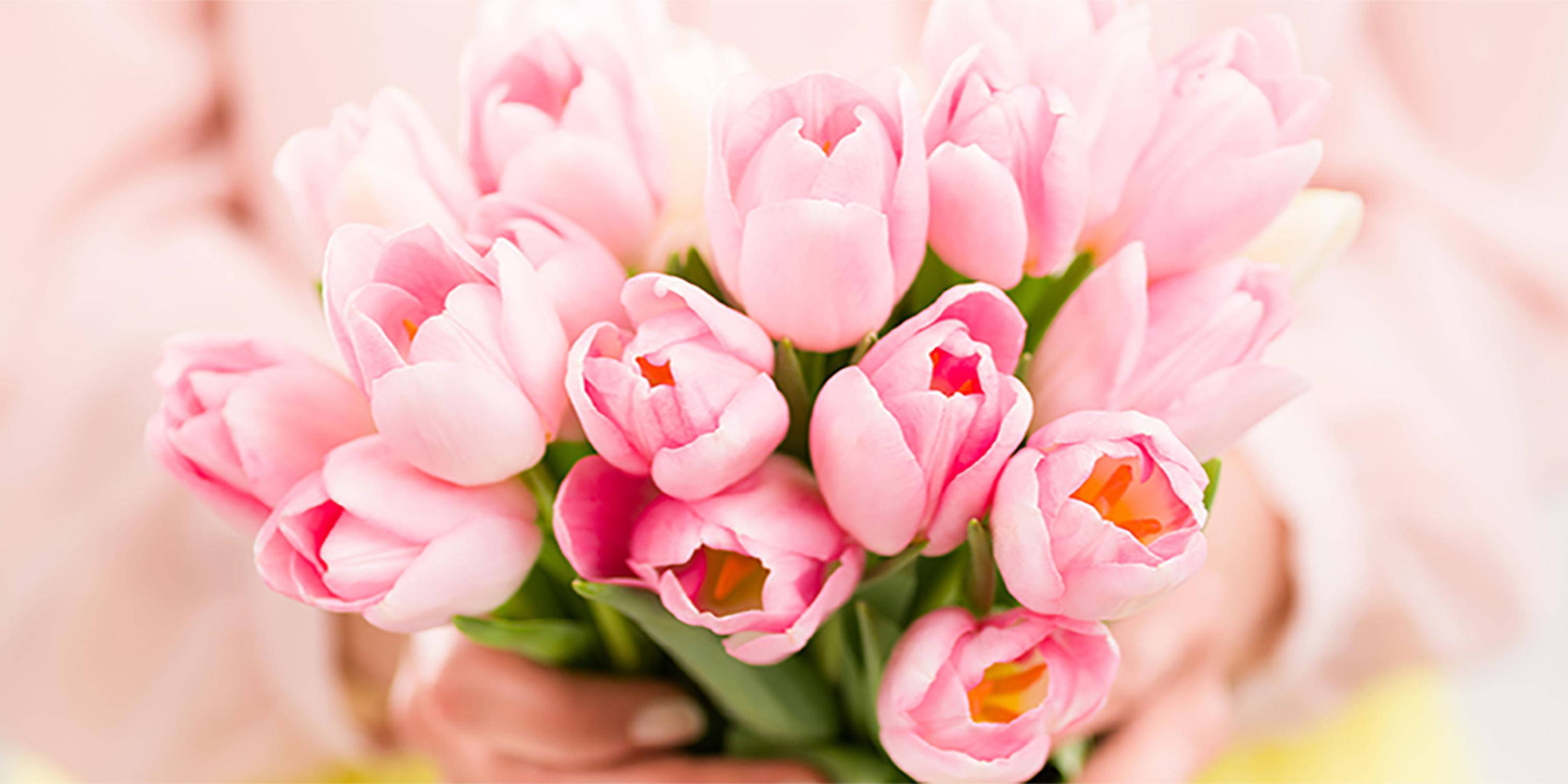 Frische Tulpen - so halten Schnittblumen länger frisch