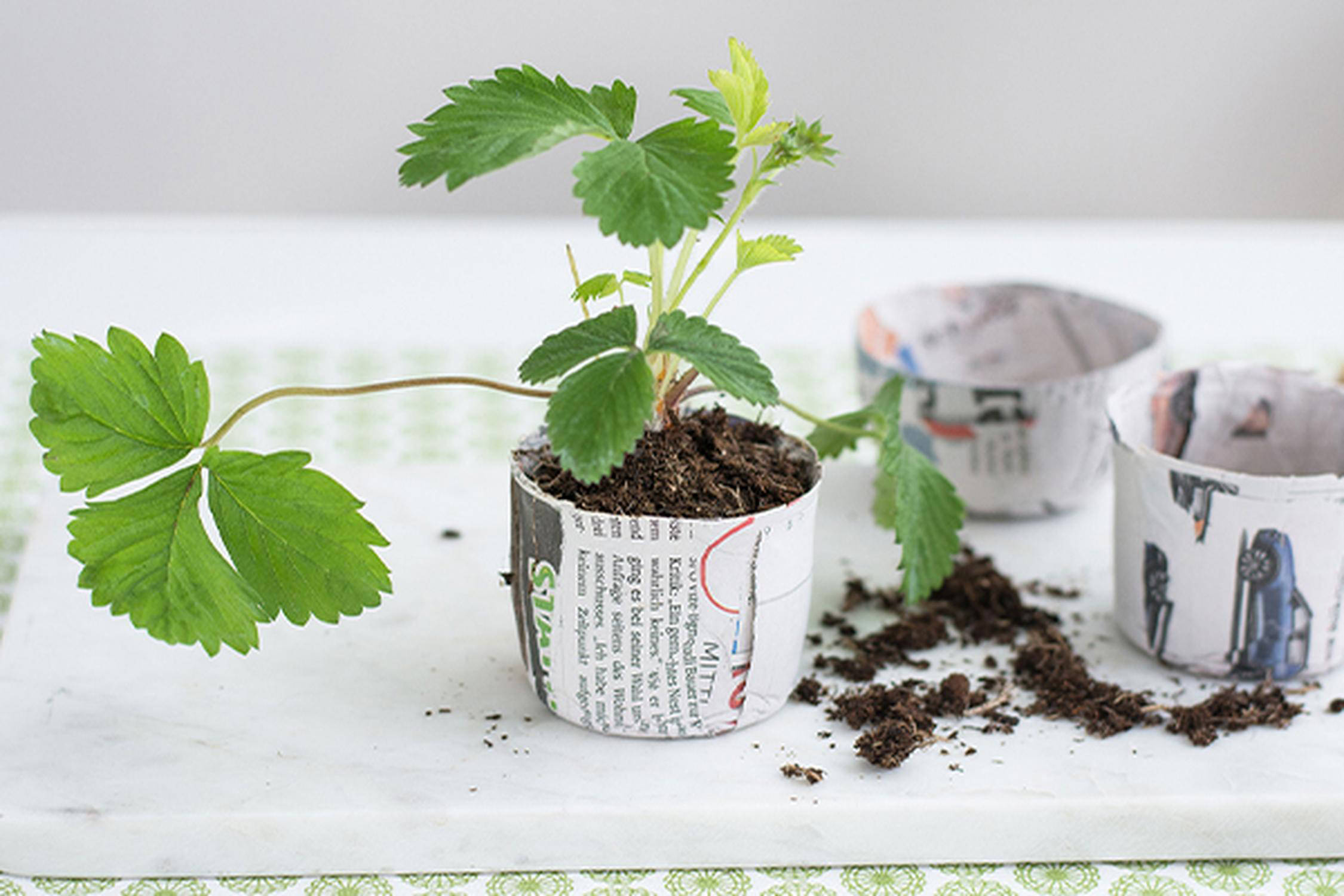 DIY- Individuell gestaltete Erdbeer-Töpfe für das Mini Gewächshaus