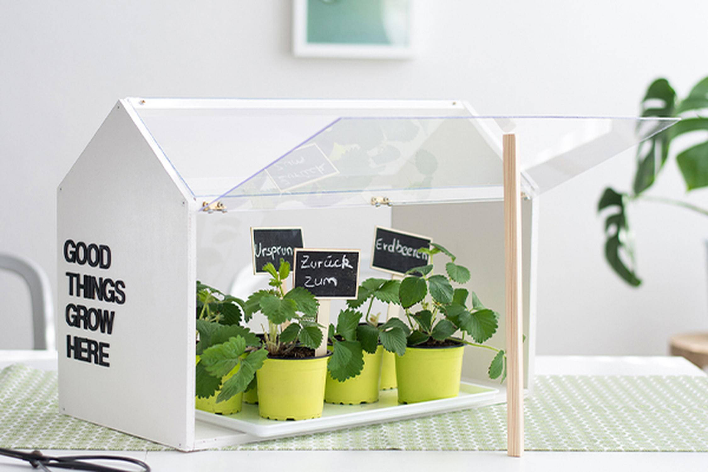 DIY- Individuell beschriftetes Mini Gewächshaus von der Seite mit geöffnetem Glas