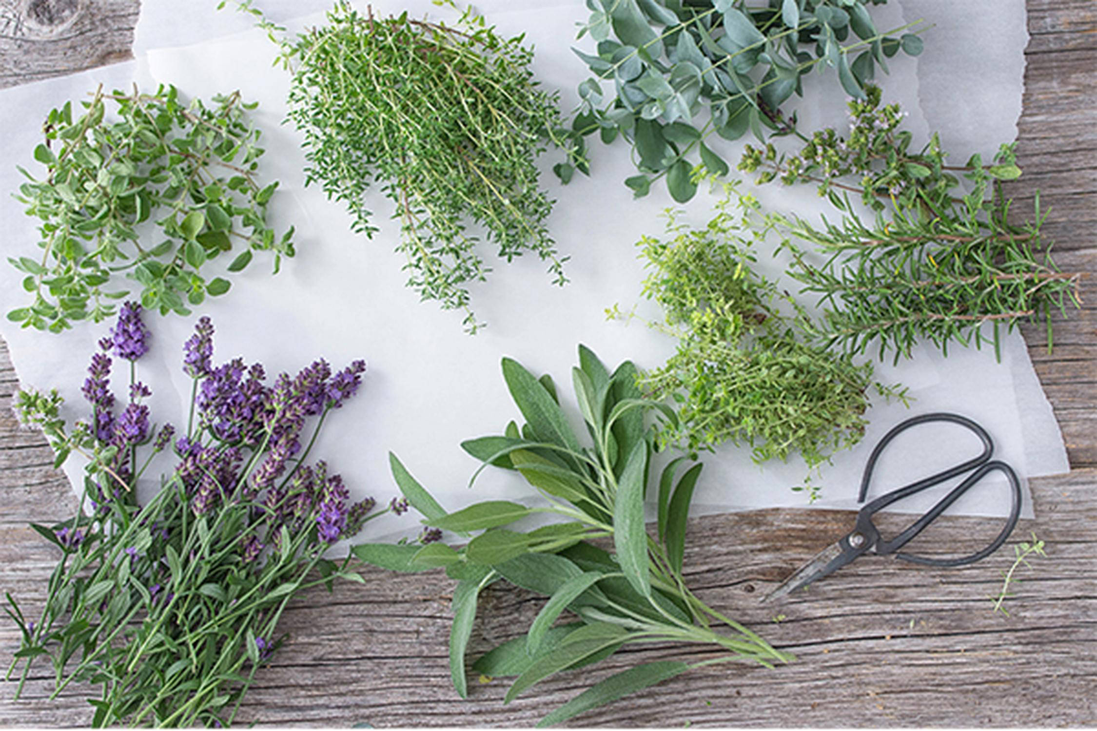 Lavendel-Kräuter-Kranz