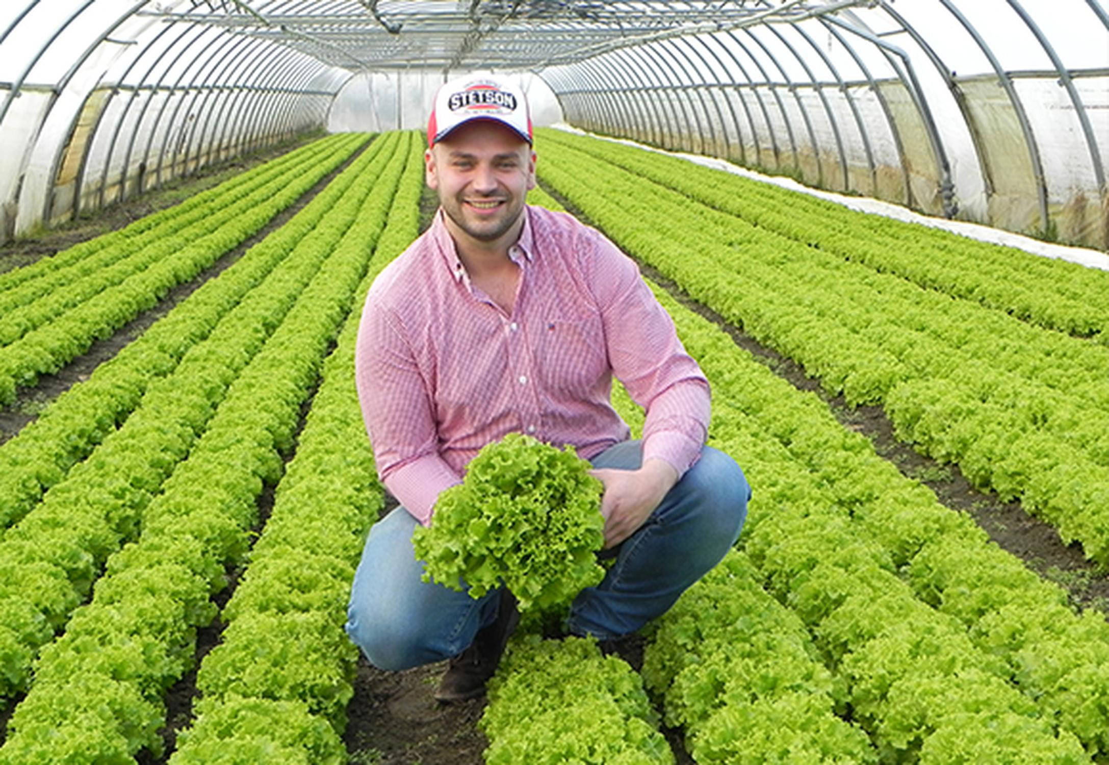 Ein Mann in Mitten eines Salatfelds.