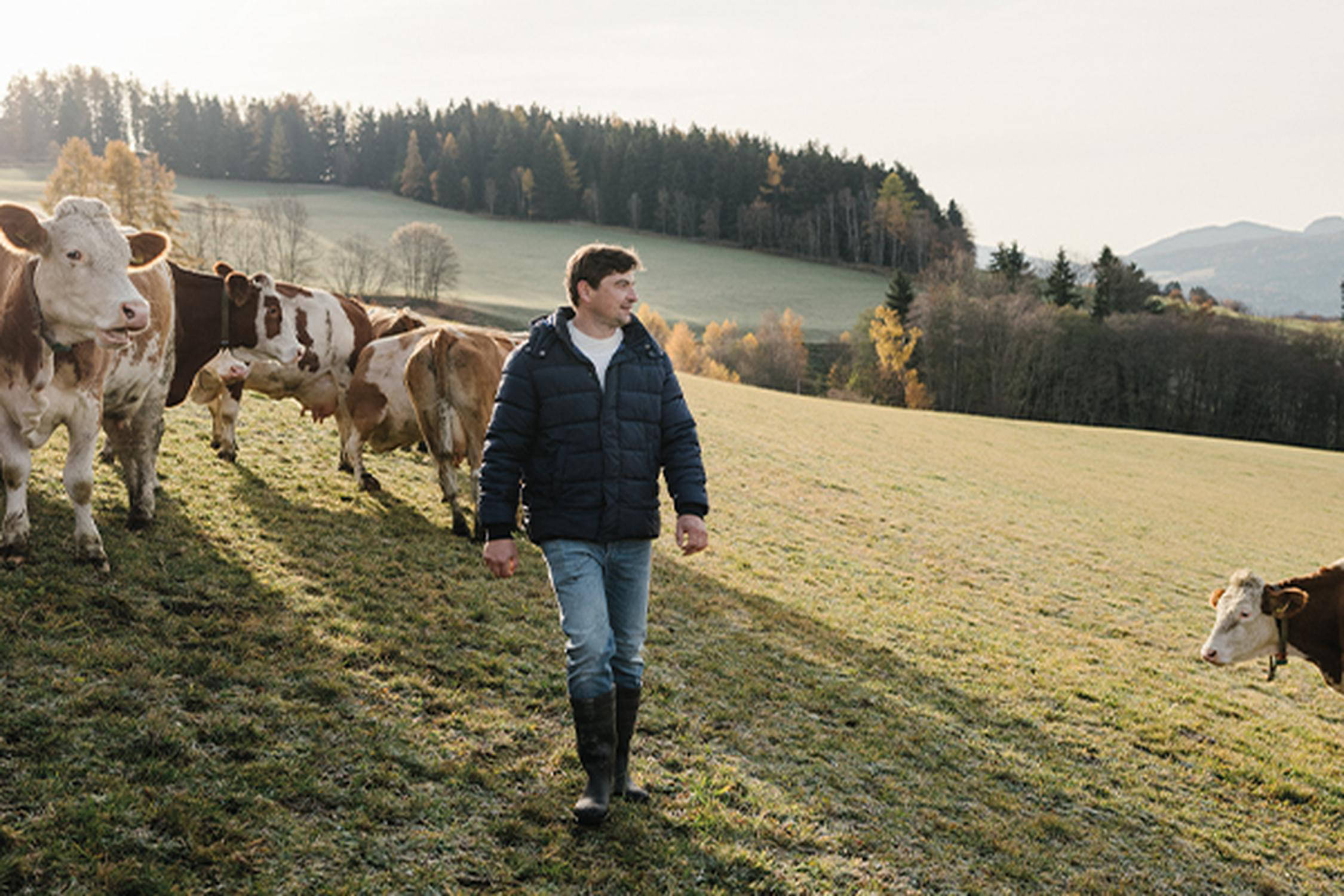 Auf dem Bild ist ein Mann auf der Weide zu sehen.