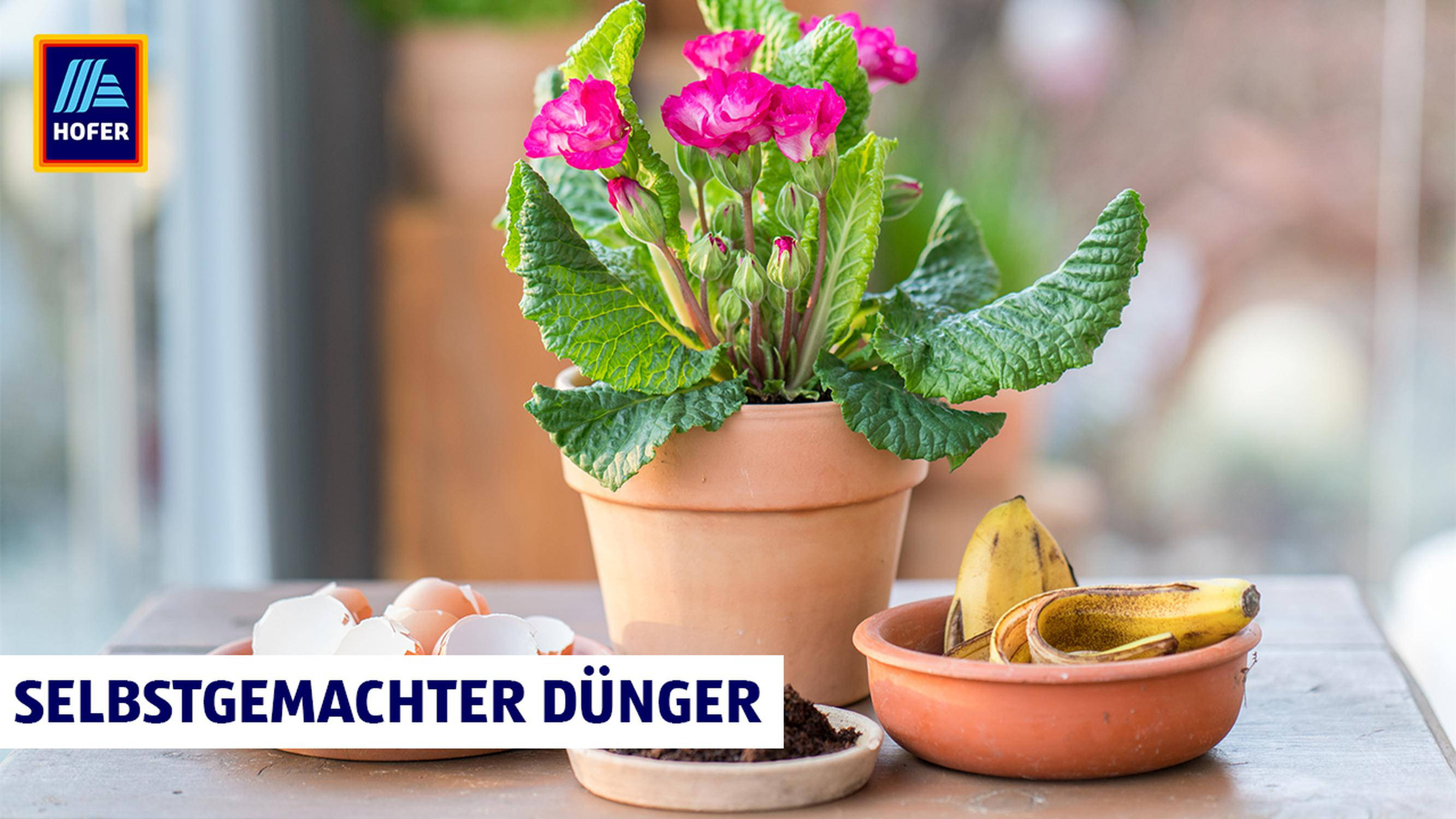 Selbstgemachter Dünger