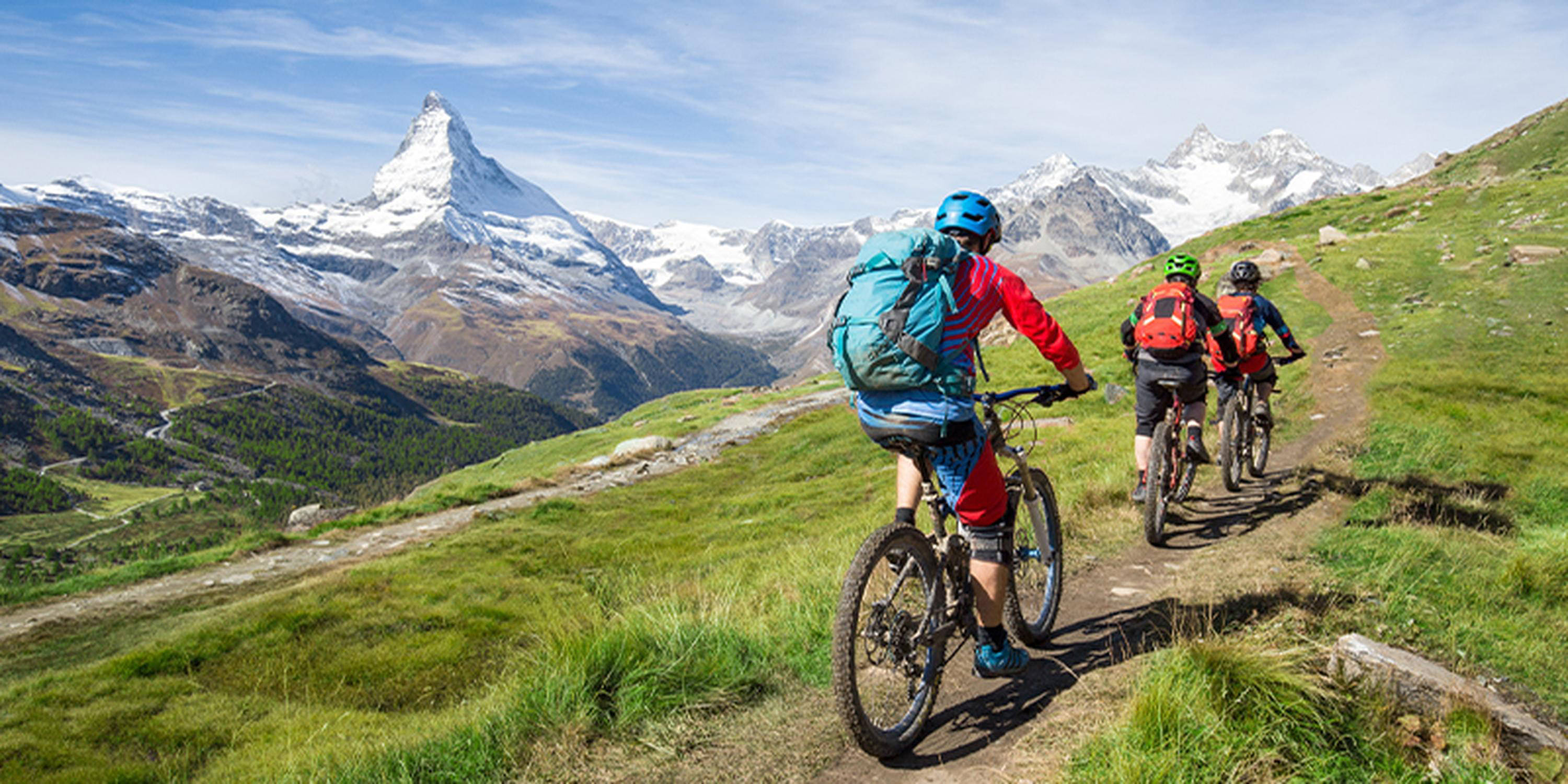 Drei Mountainbiker auf einem Berg.