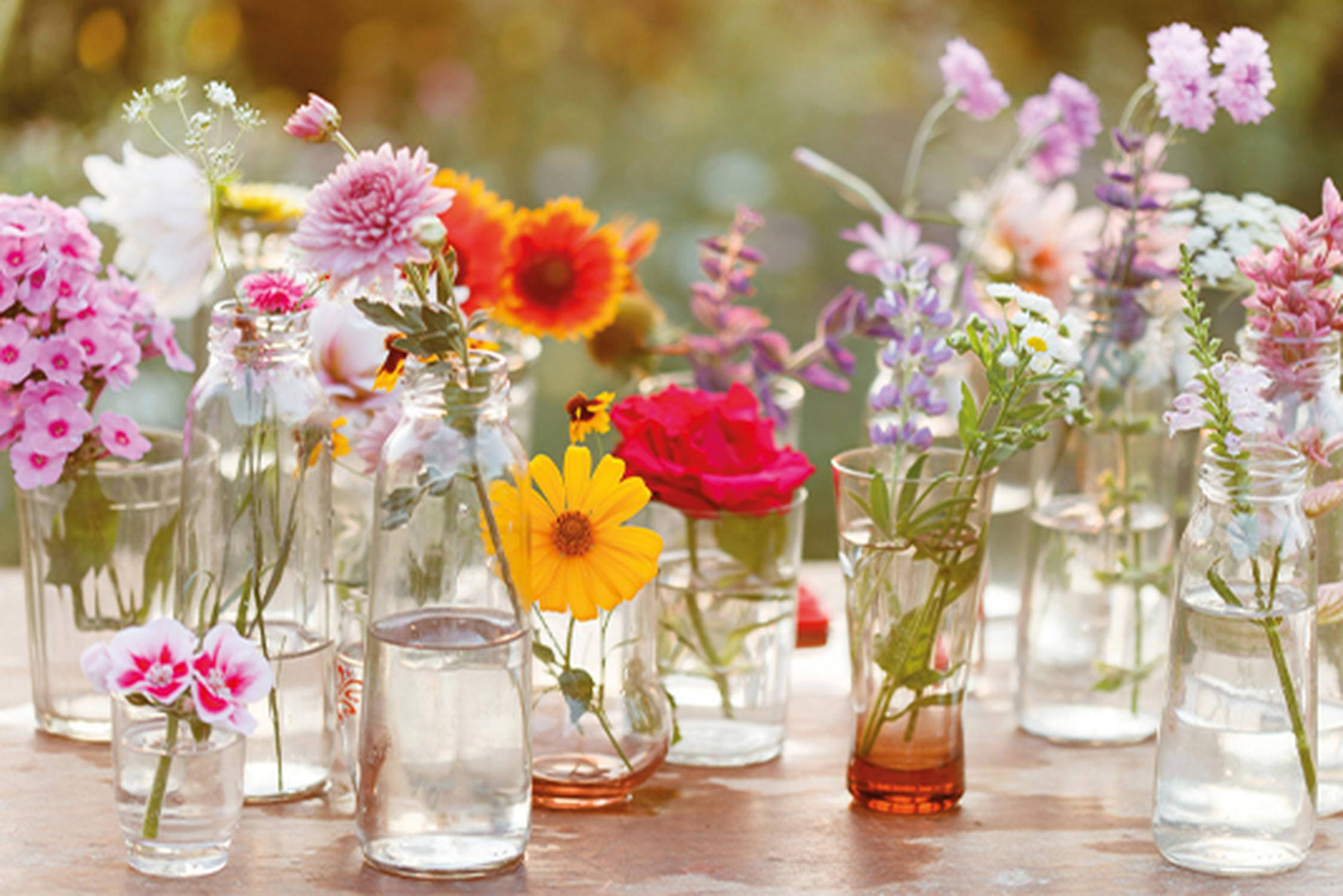 Blumen in Vasen
