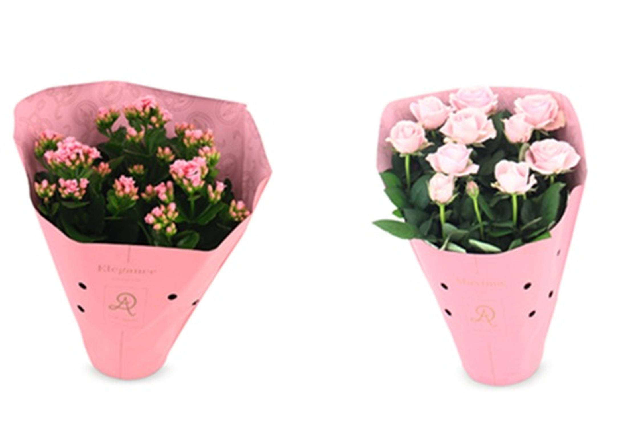 Pink Ribbon