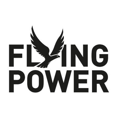 Flying Power Logo