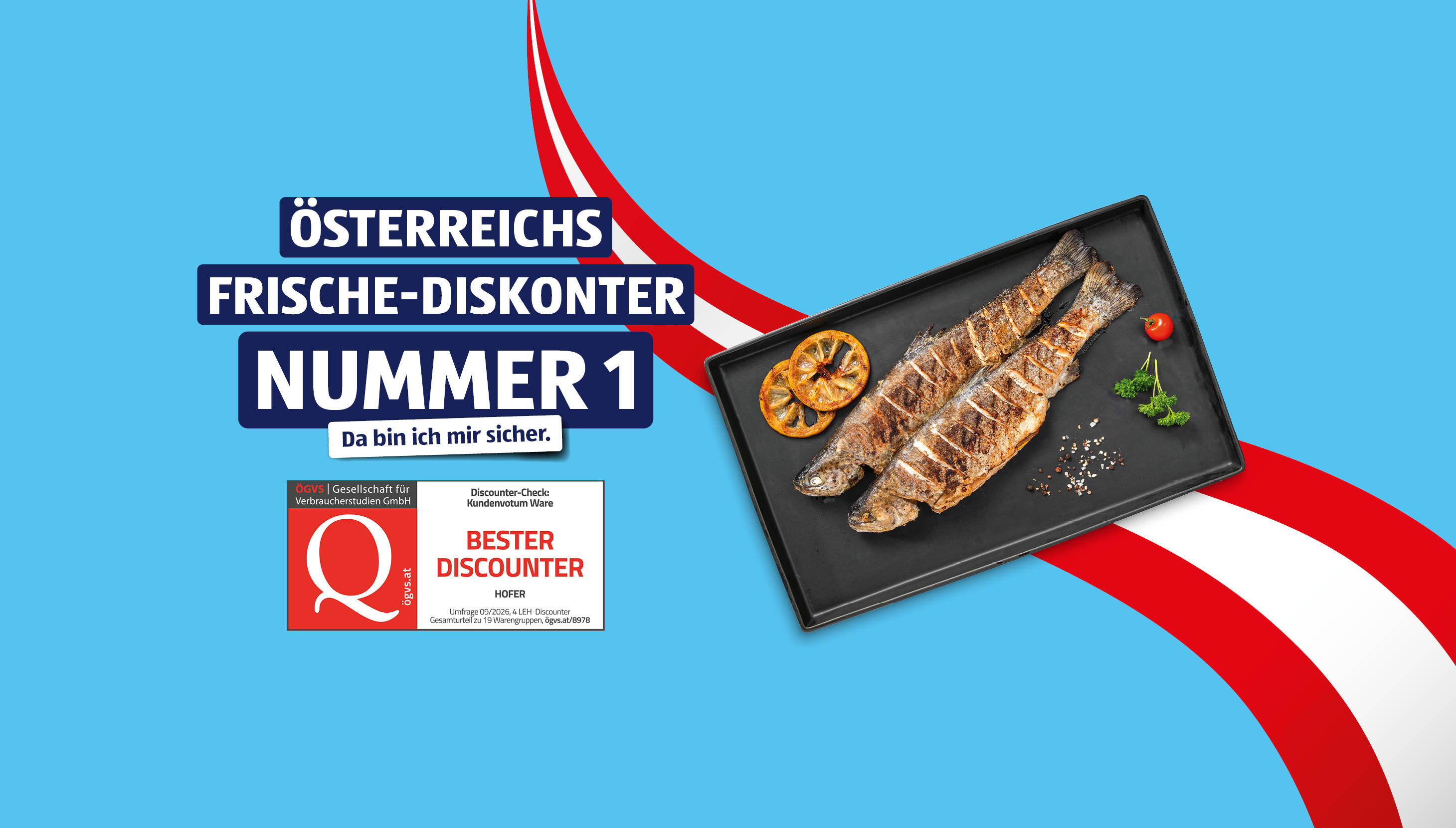 Fisch auf einer schwarzen Schiefersteinplatte  - Österreichs Frische-Diskonter Nummer 1
