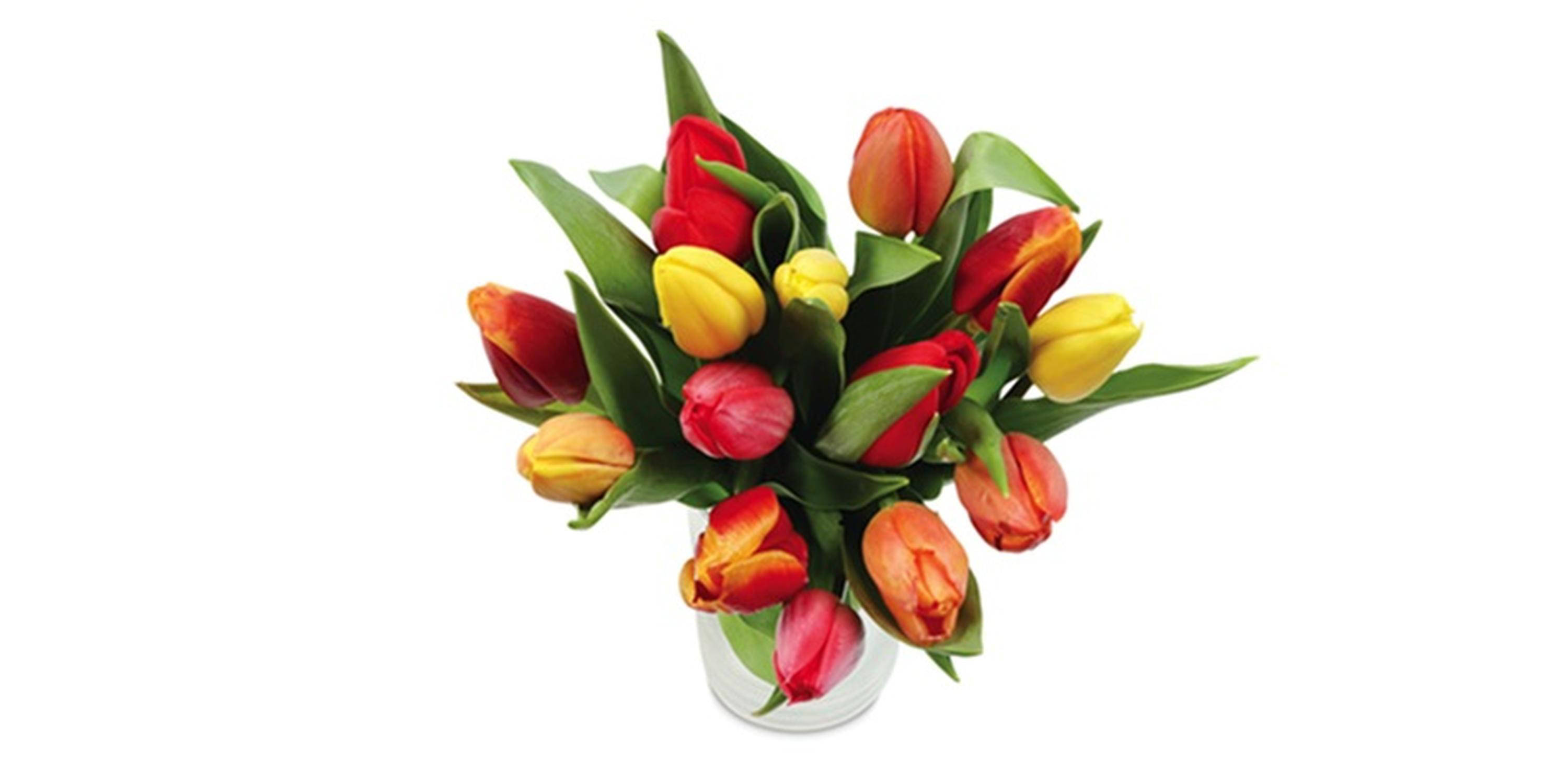 Blumen-Weltfrauentag