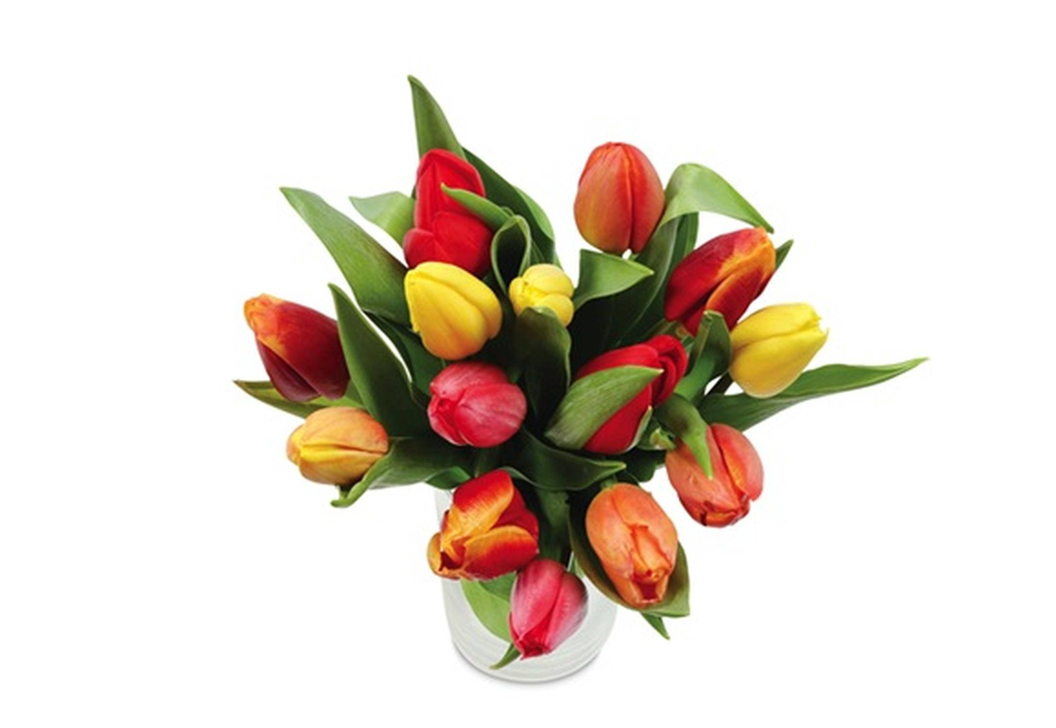 Blumen-Weltfrauentag