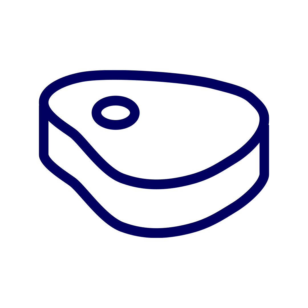Fleisch Icon