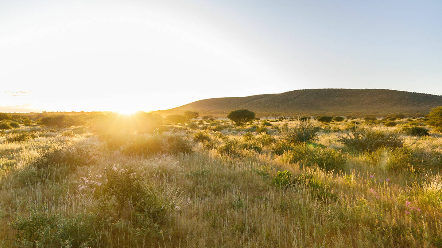Klima und Umwelt Holz