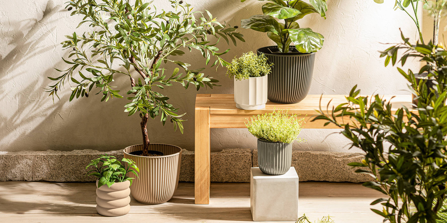 Različne zelene rastline 