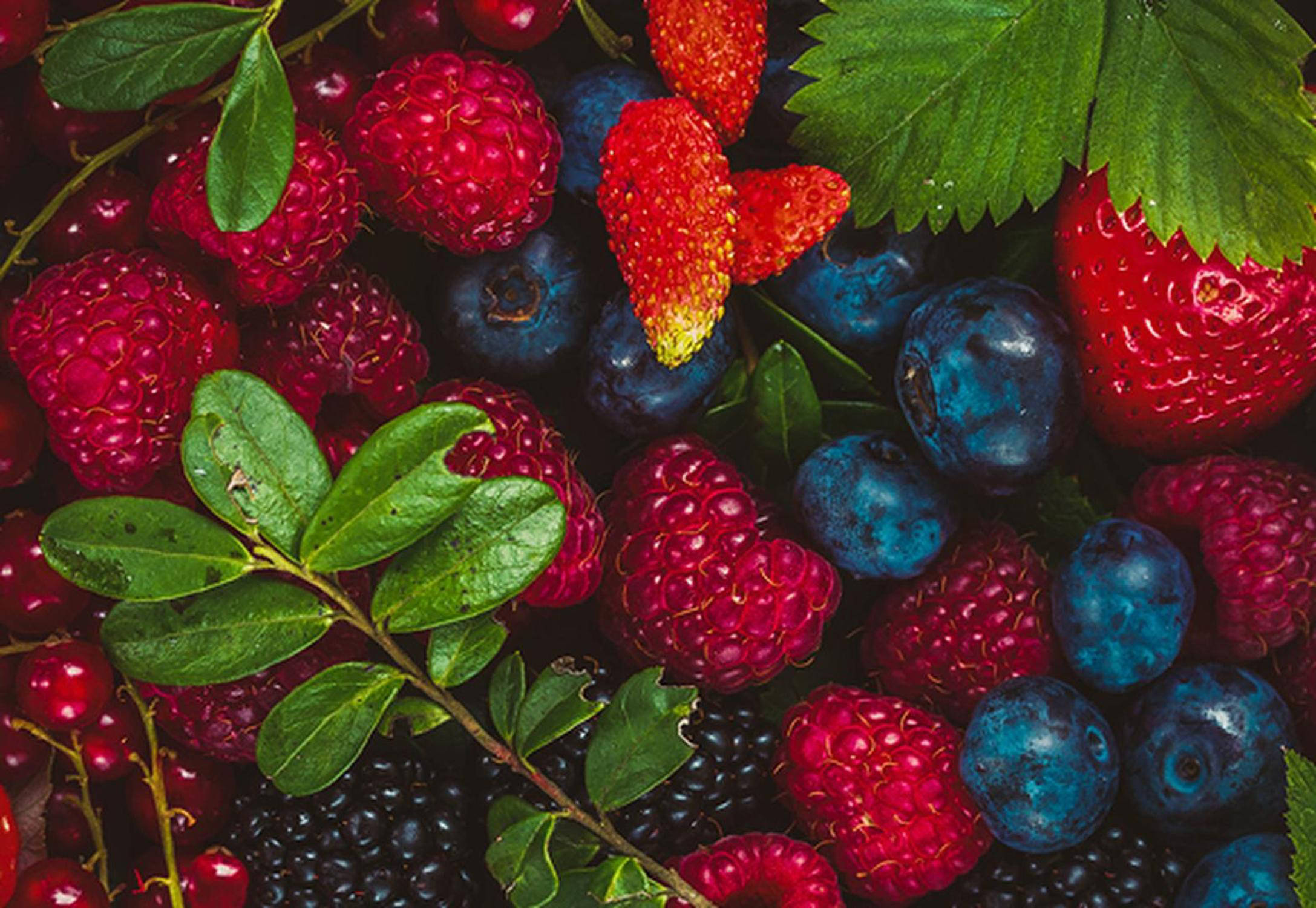 Jagodičevje (jagode, maline, borovnice, robide)