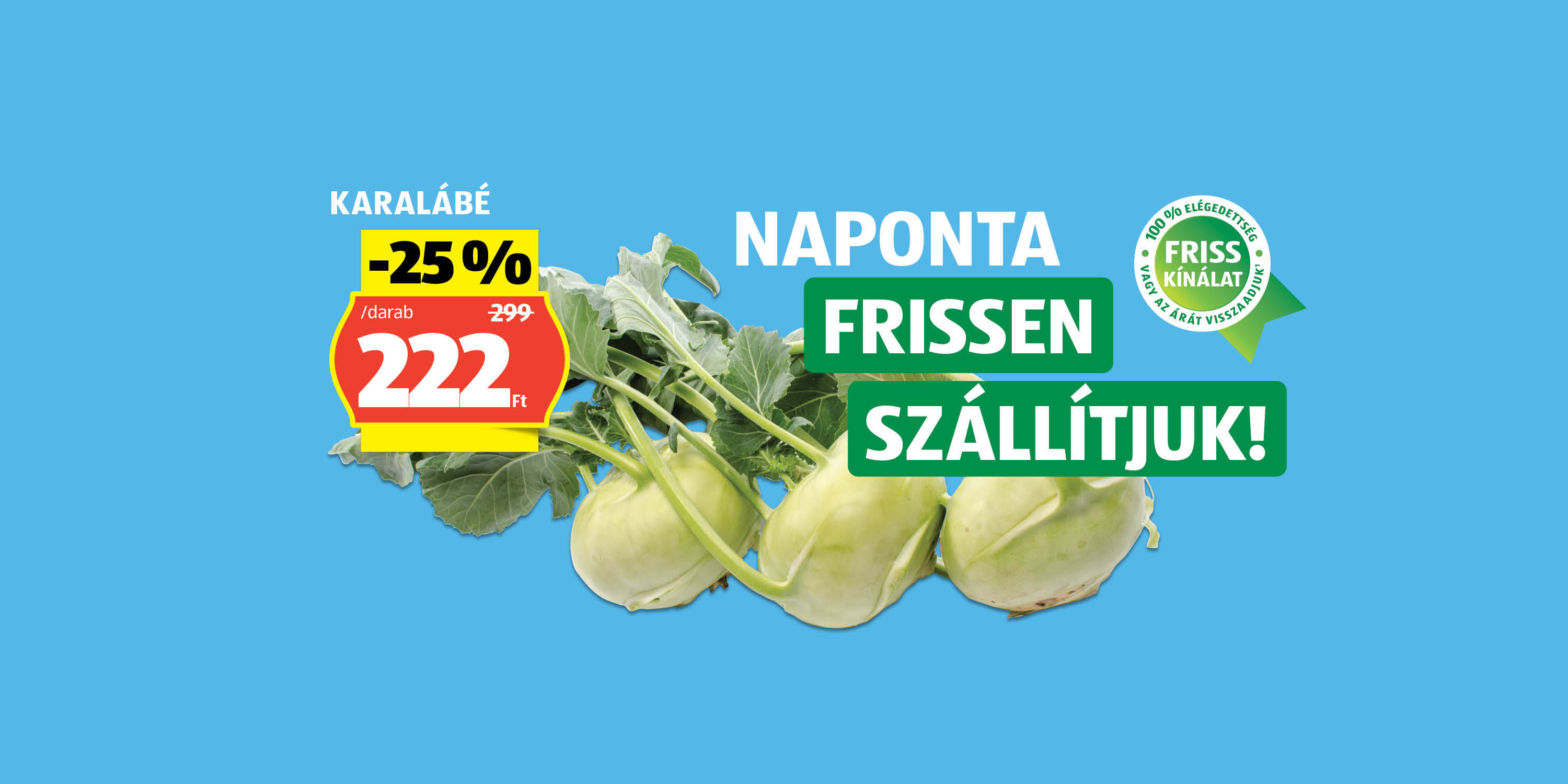 ALDI - Frissesség minden nap