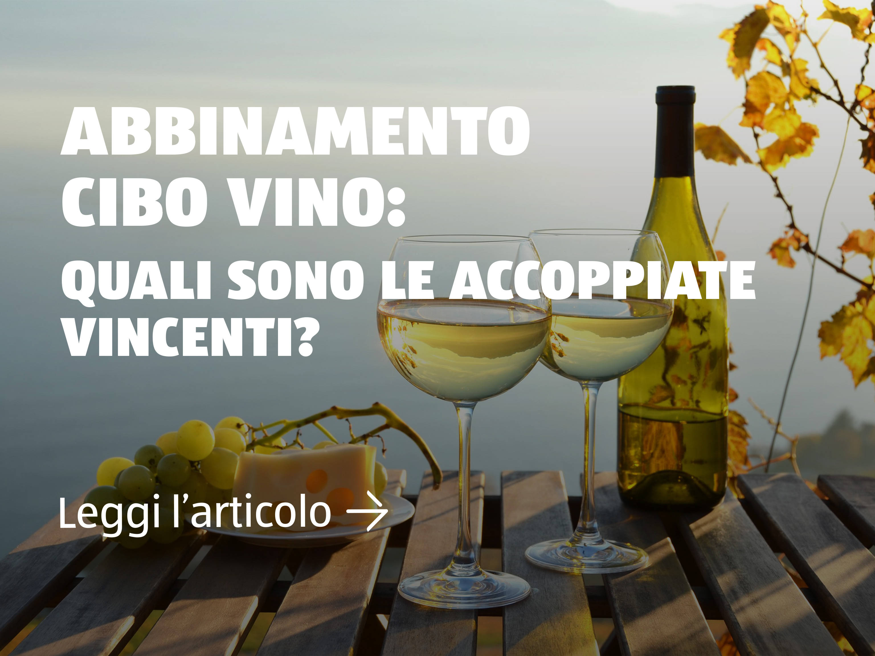 Abbinamento cibo vino