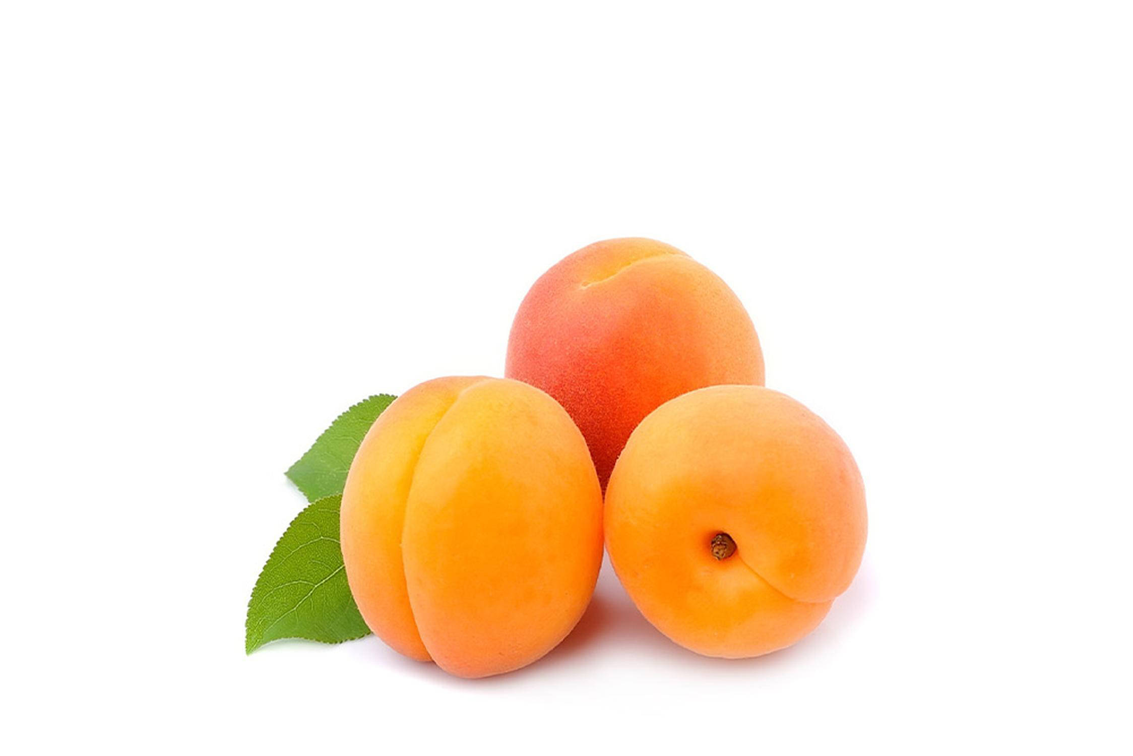 Albicocche