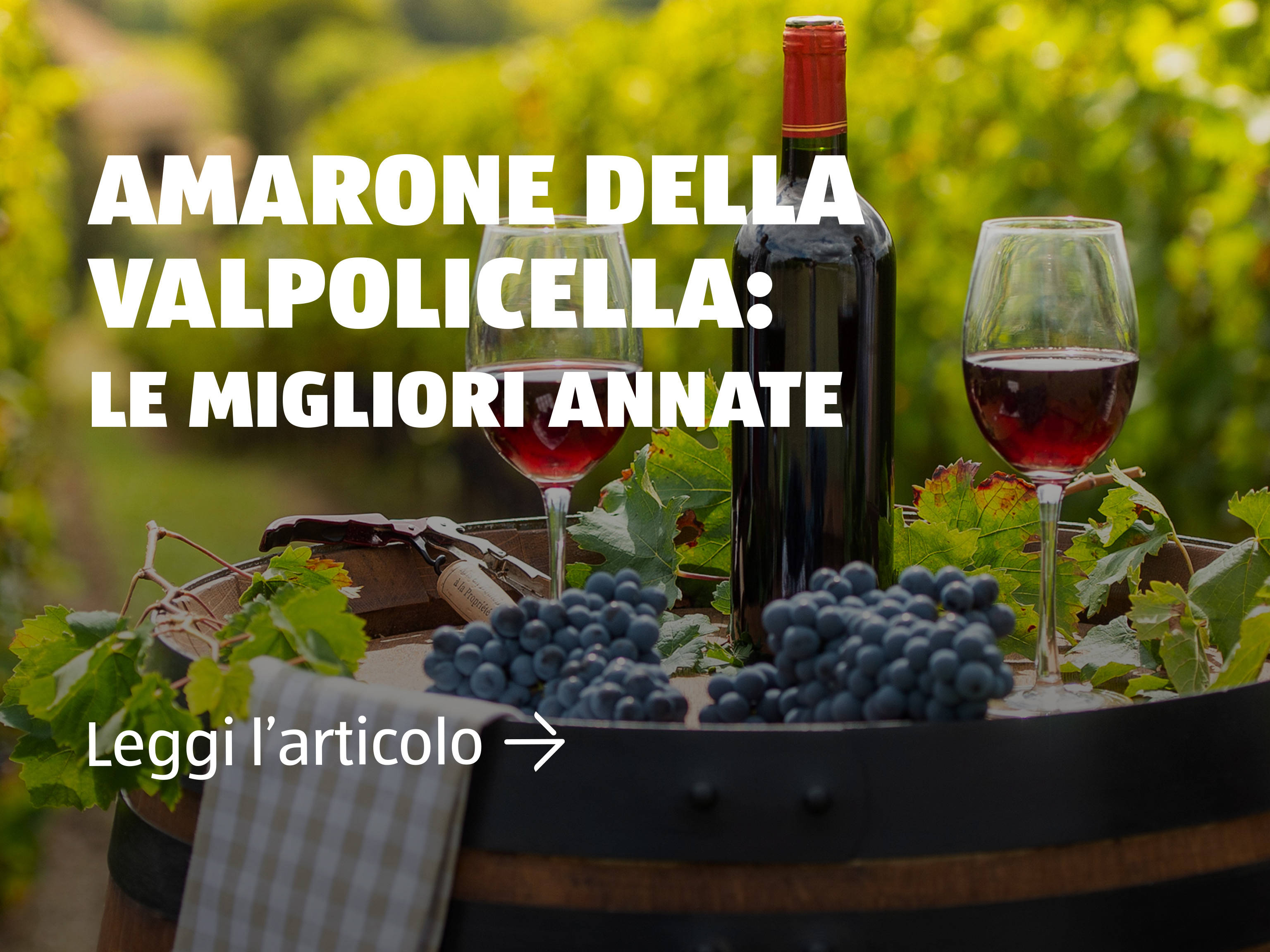 Amarone della Valpolicella