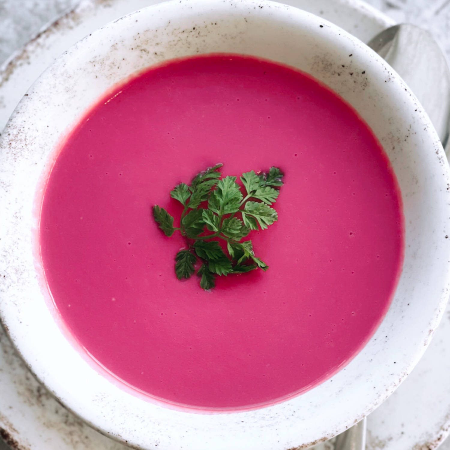 Serviervorschlag: Cremige Rote Rüben Suppe