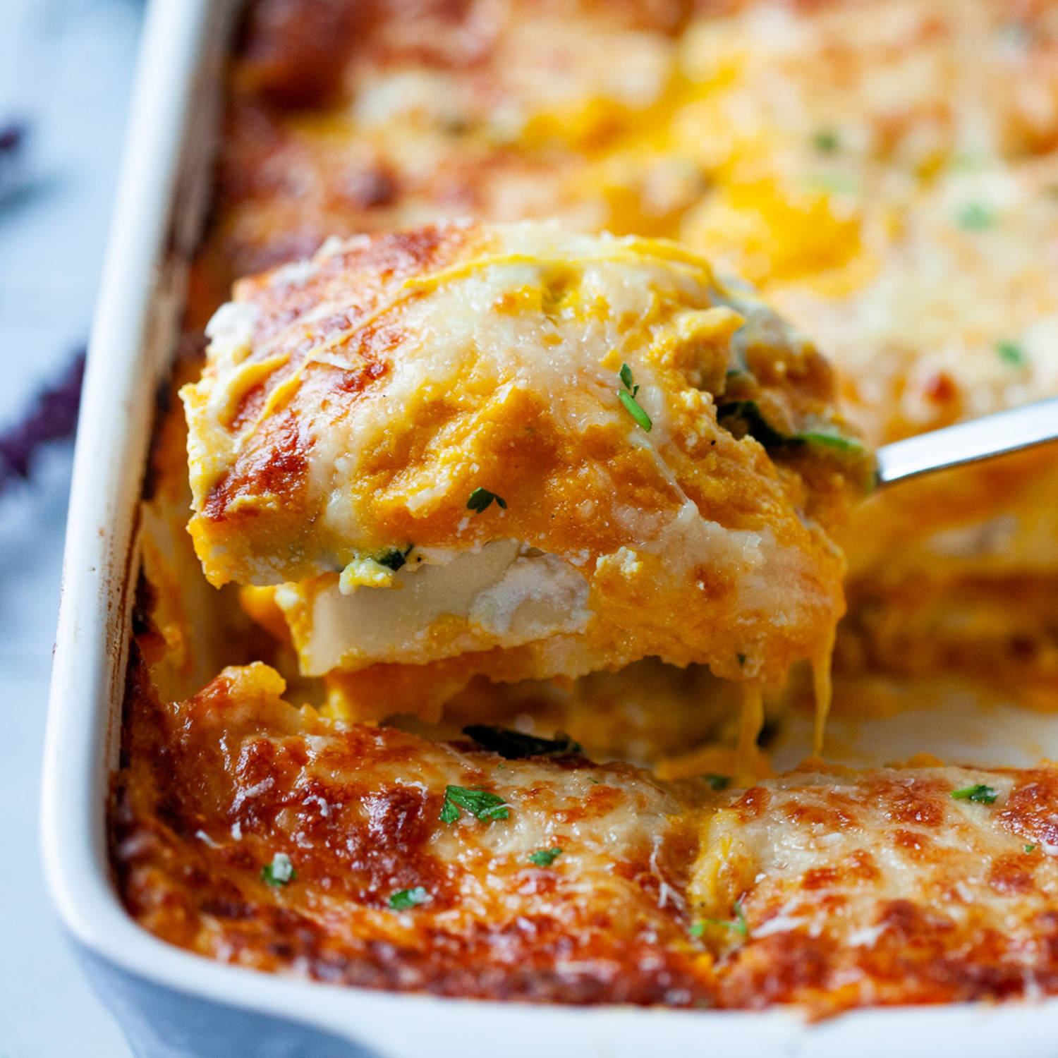 Serviervorschlag: Vegetarische Kürbislasagne