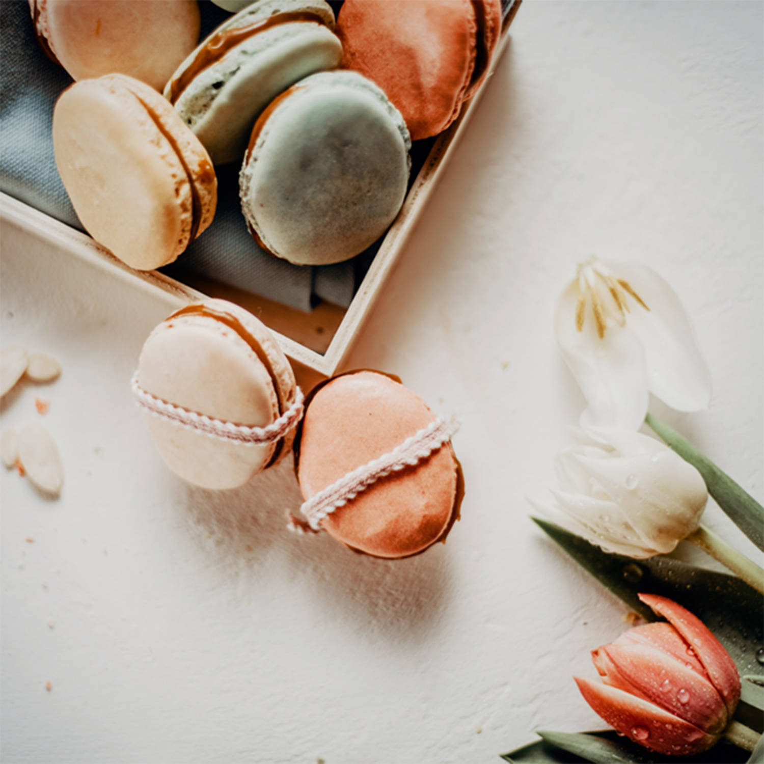 Serviervorschlag: Ostereier-Macarons