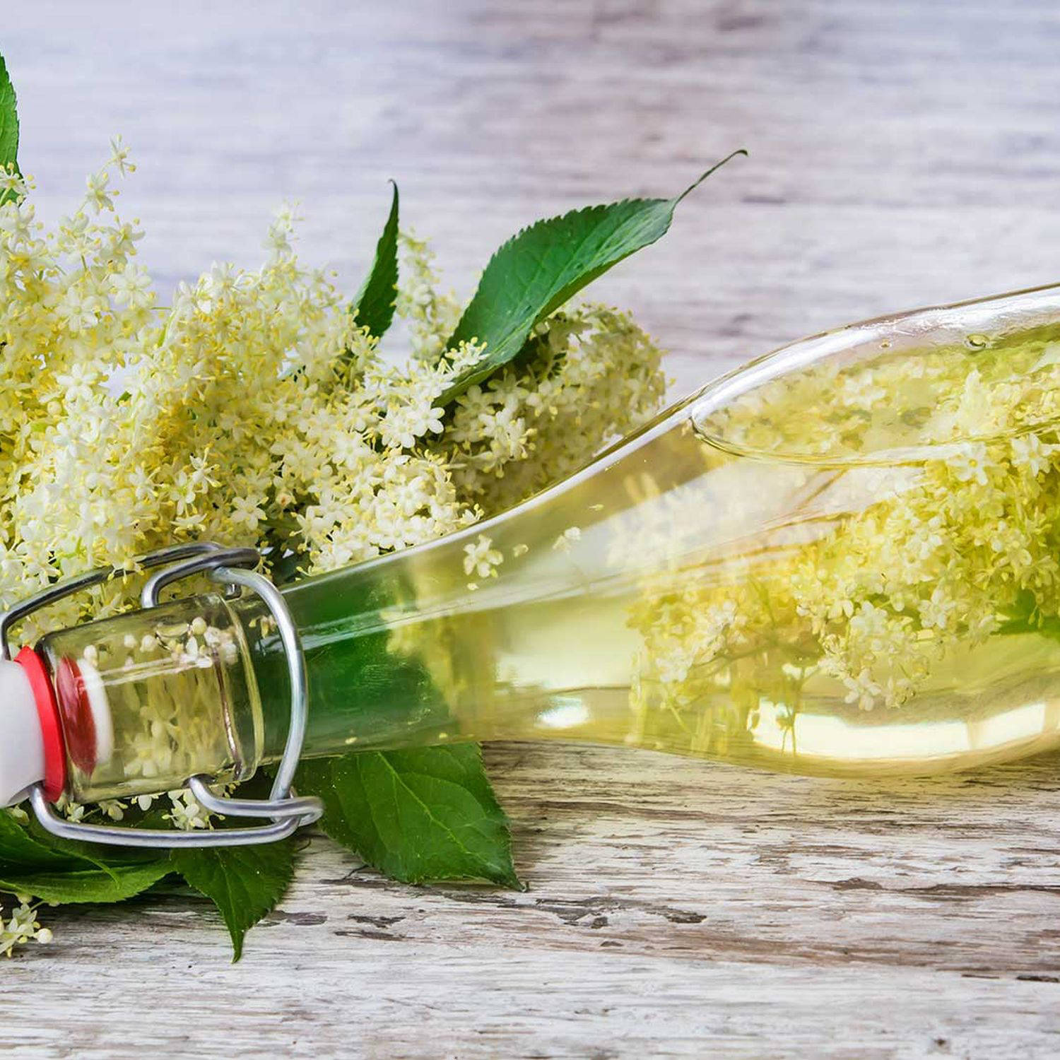 Serviervorschlag: Holunderblüten-Sirup