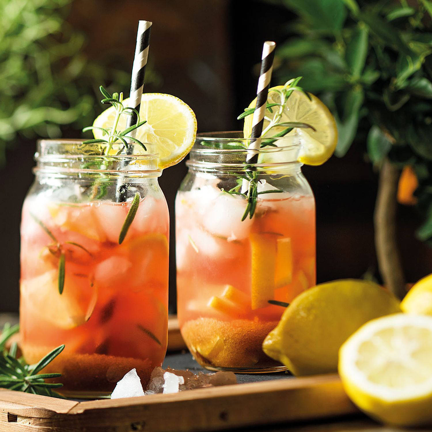 Serviervorschlag: Zirben-Kräuter-Cocktail