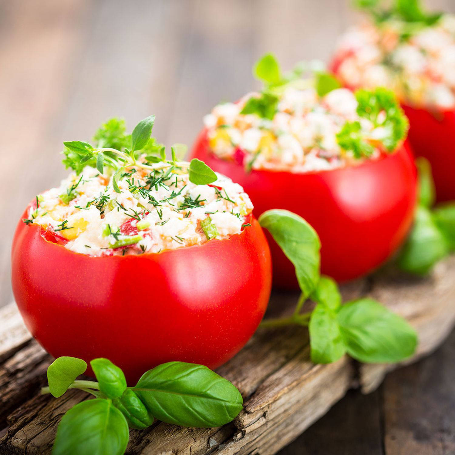 Serviervorschlag: Gefüllte Tomaten mit Mozzarella