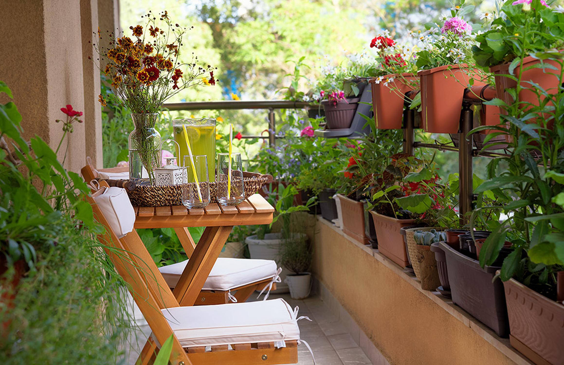 Giardino piccolo