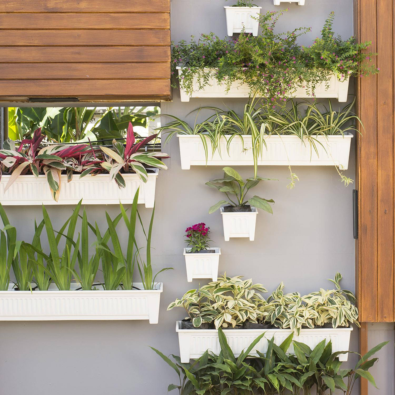 Giardino verticale