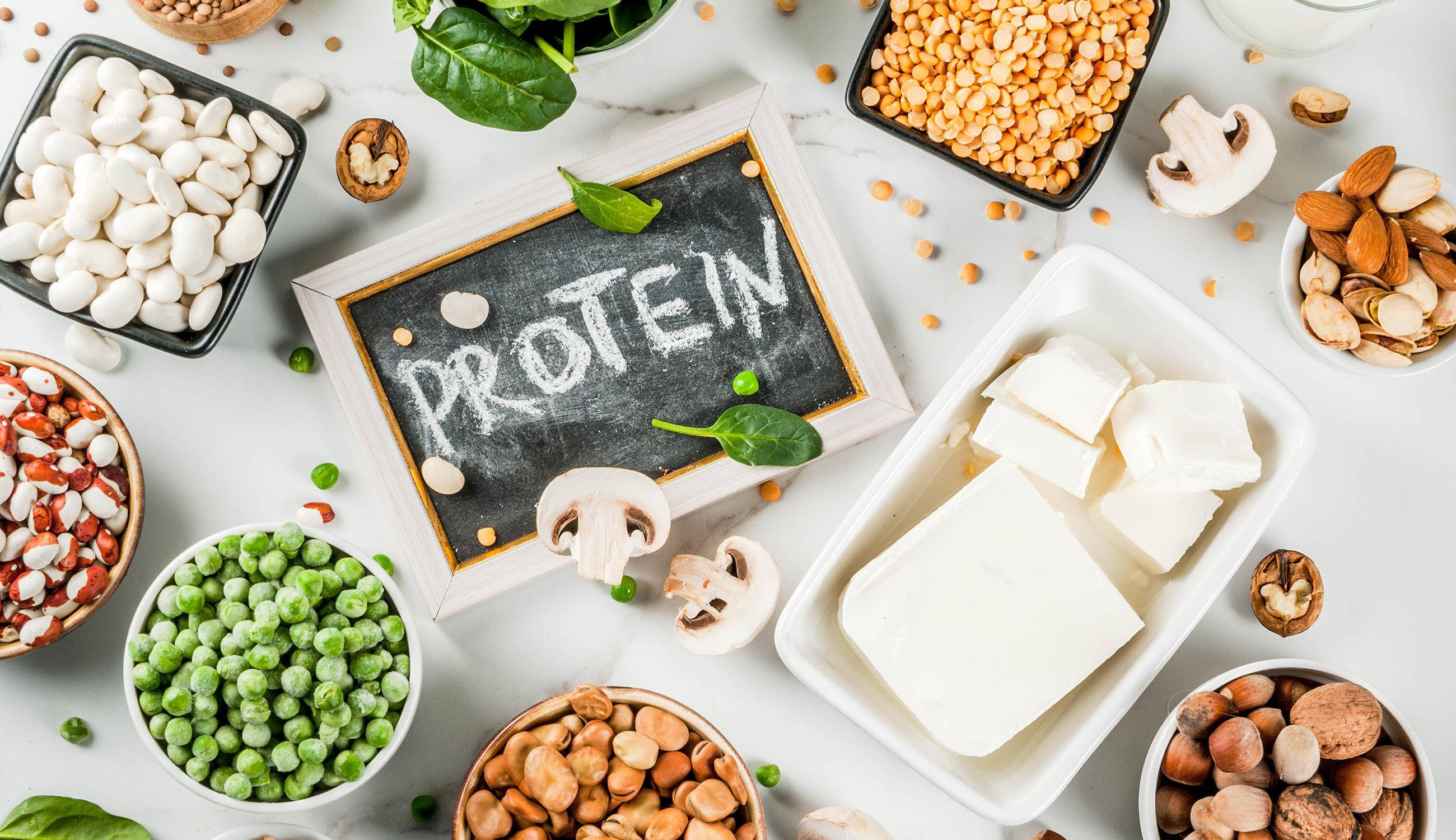 Proteine vegetali