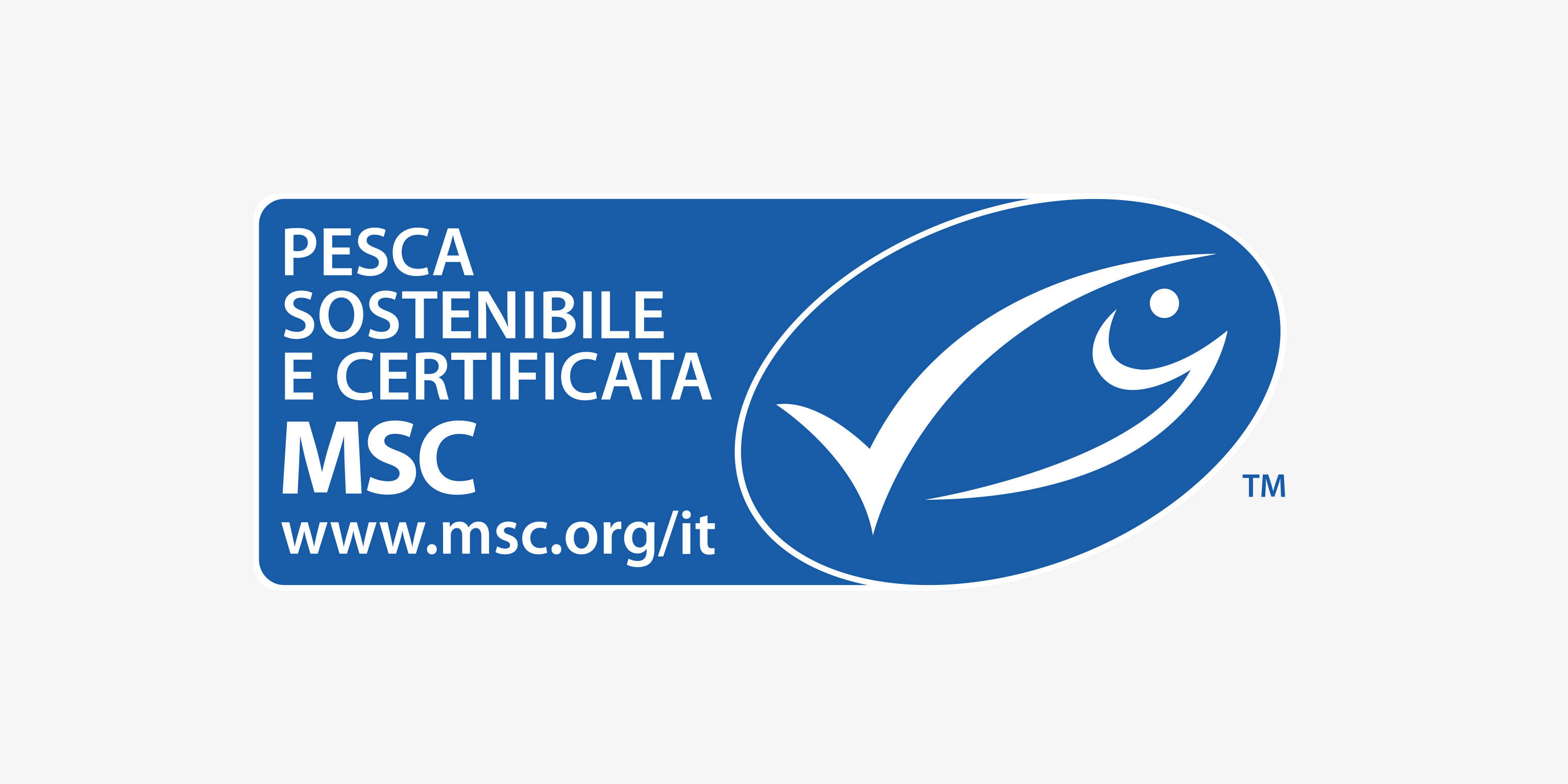 MSC