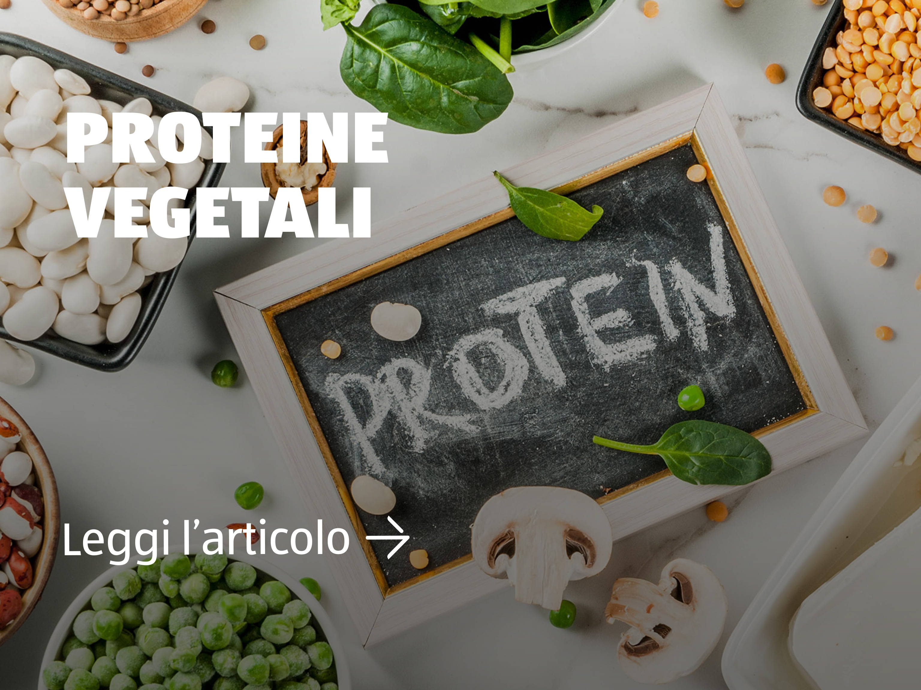 Proteine vegetali
