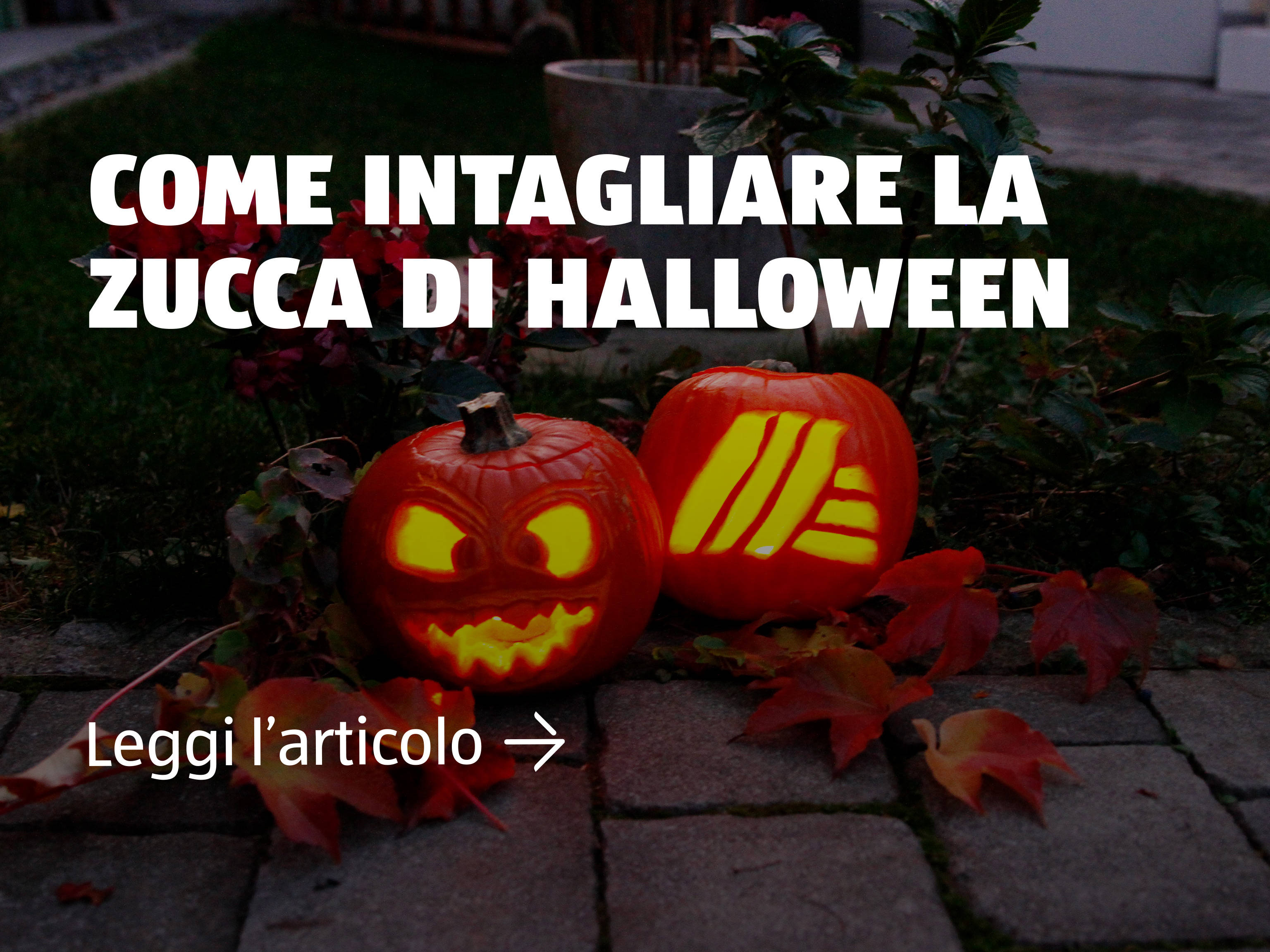 Come intagliare la zucca di Halloween