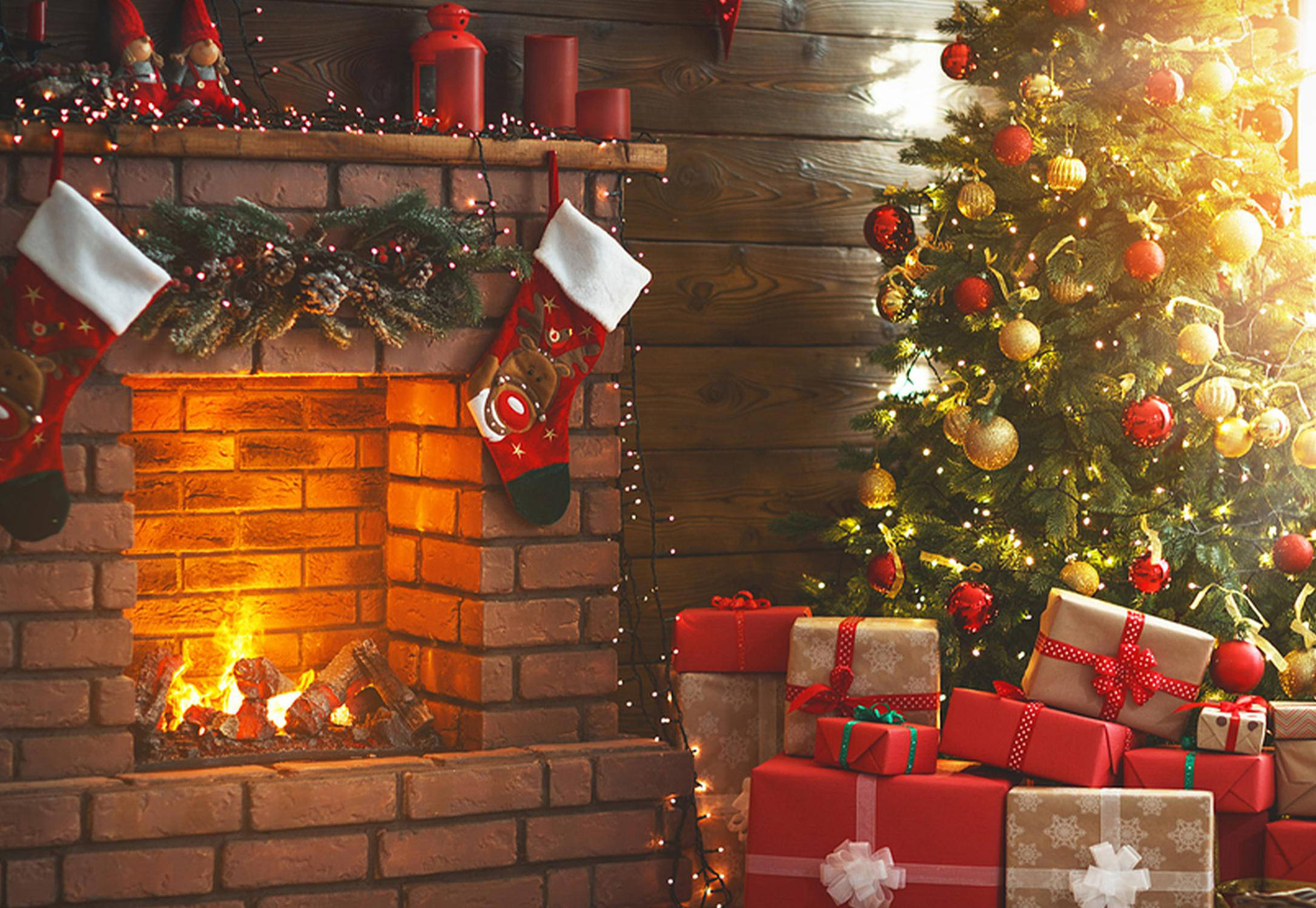 Alberi di Natale