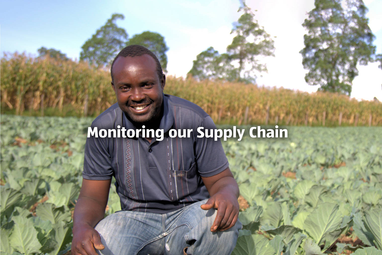 A man standing in a field of crops, representing a worker in Aldi's supply chain. The text 'Monitoring Our Supply Chain'