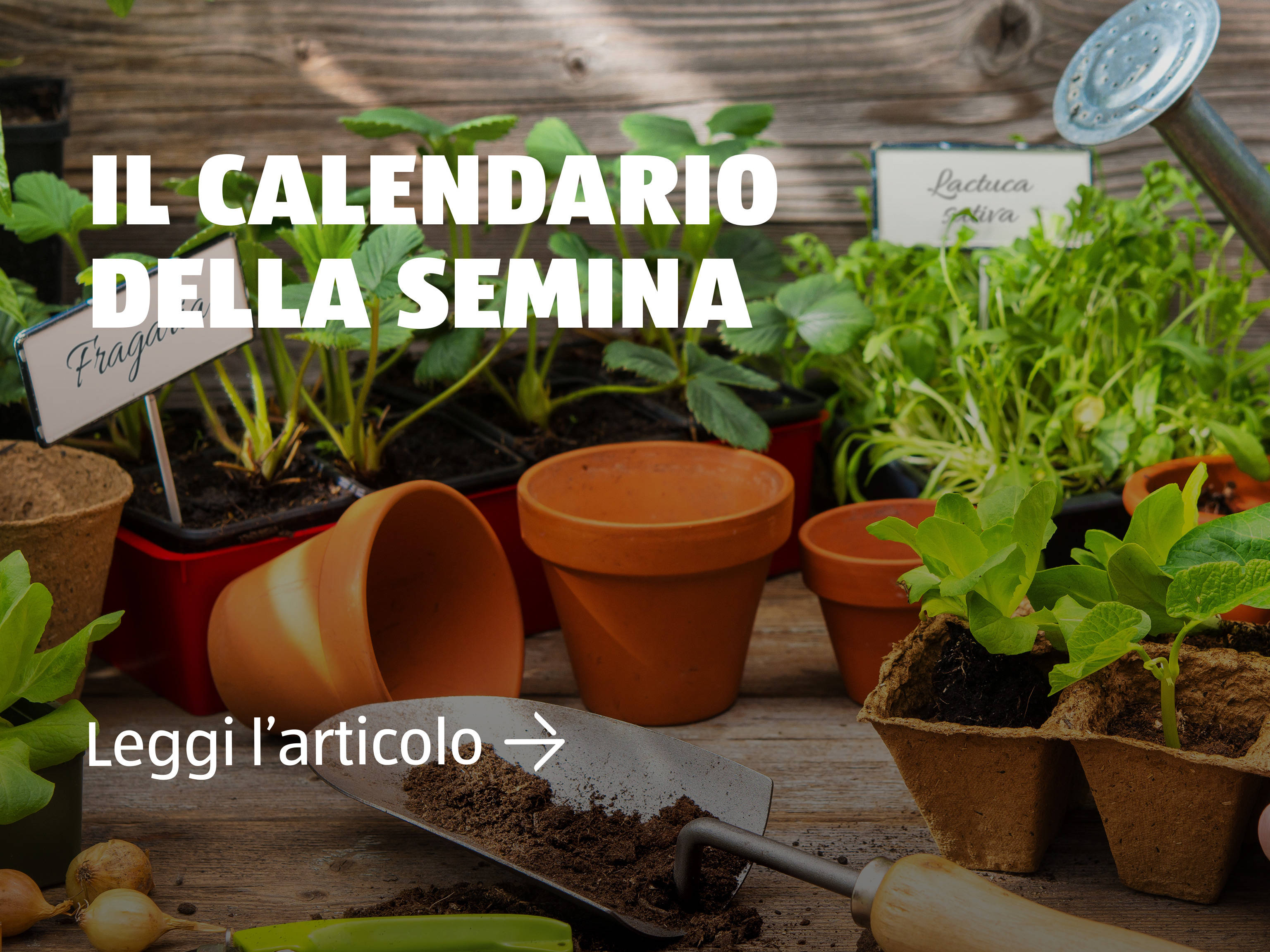 Calendario della semina