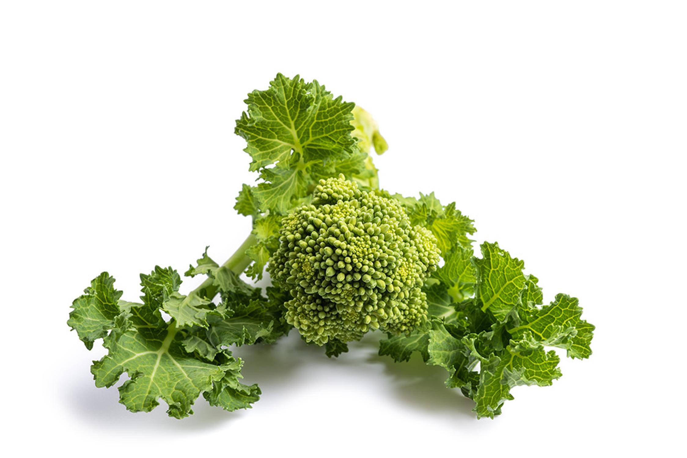 Cime di rapa