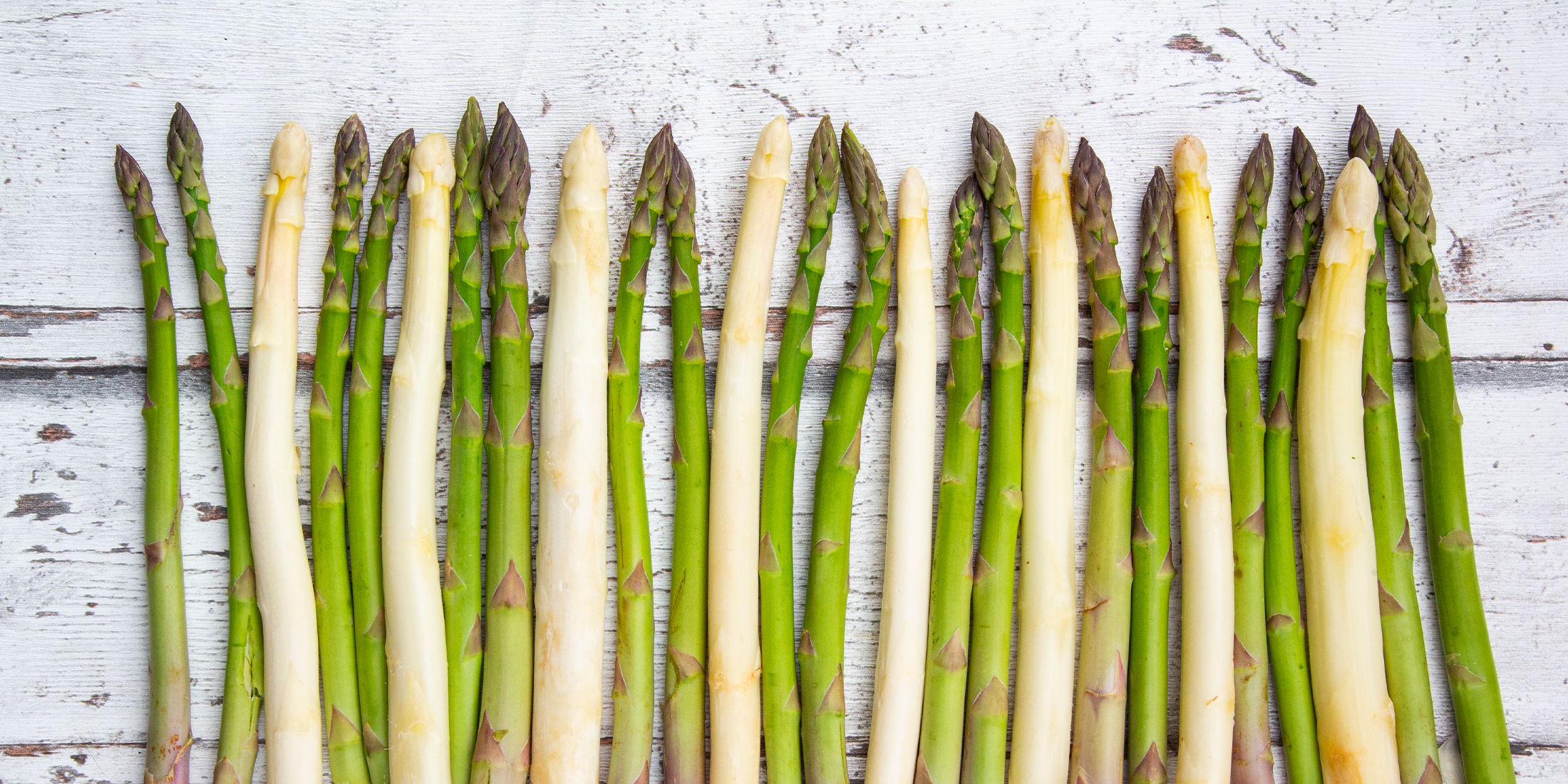 Fünf Stangen ungeschälter weißer Spargel.