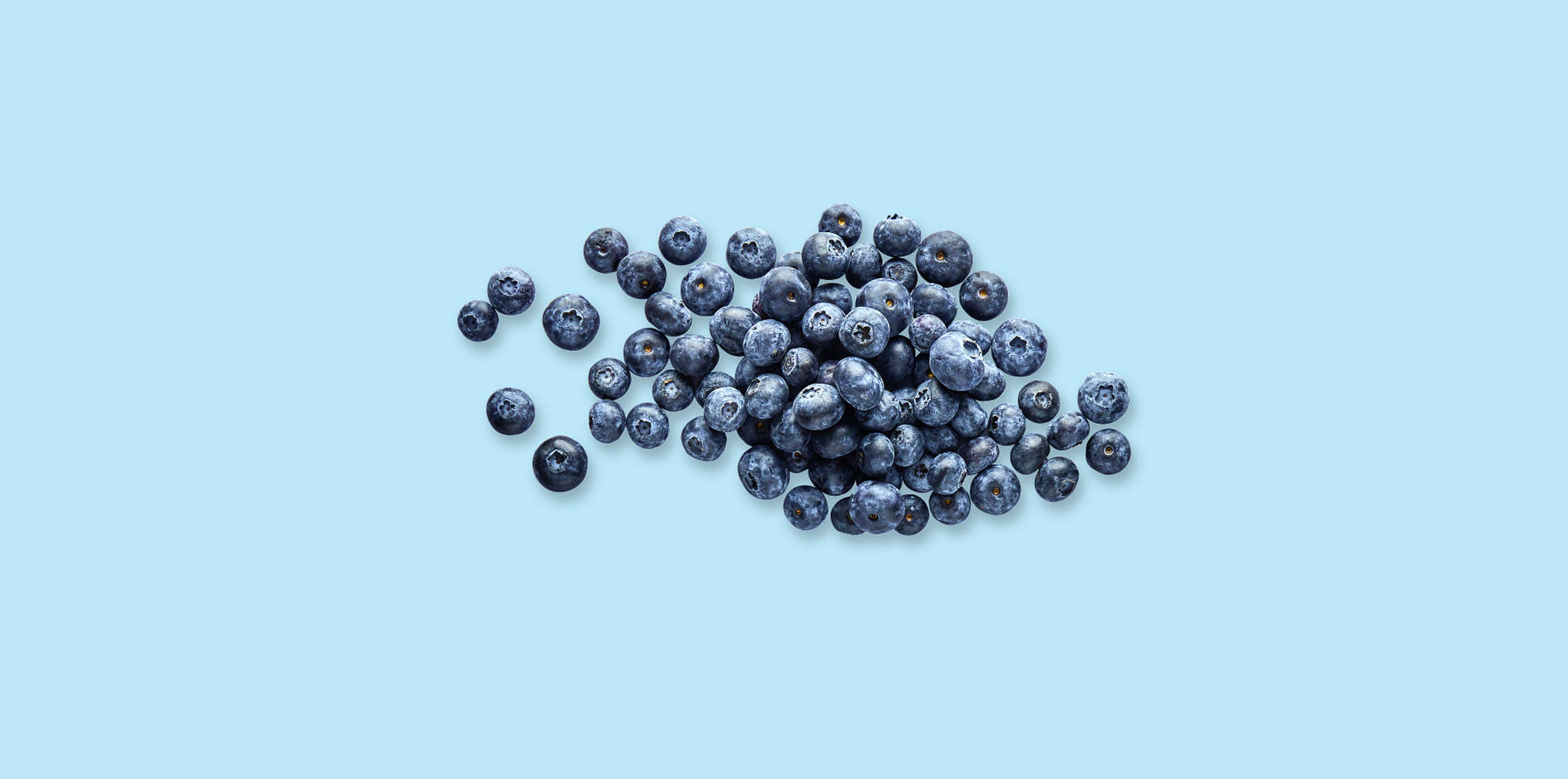 Frische Blaubeeren, verstreut auf pastellblauem Hintergrund.